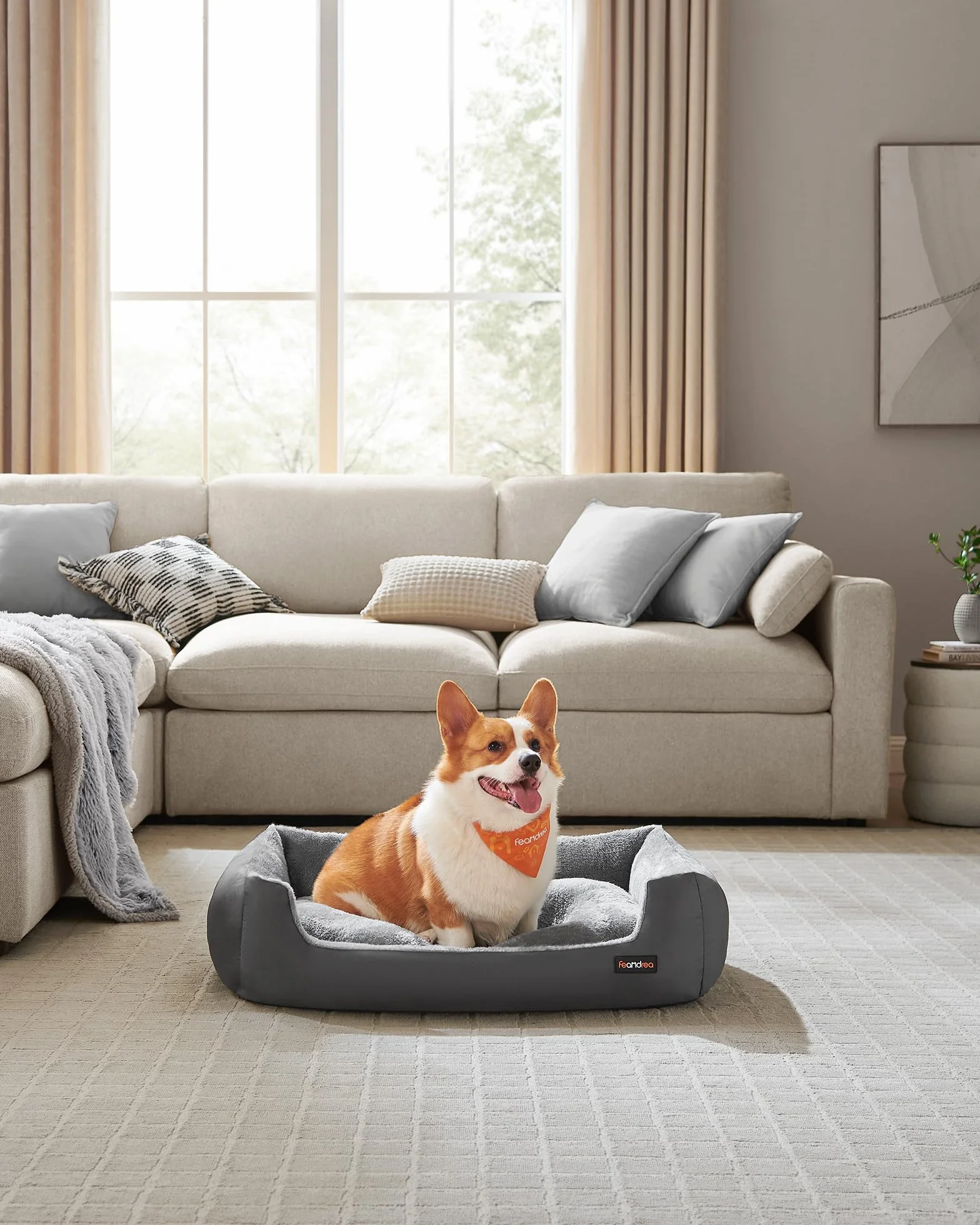 Feandrea Cuccia Cane Interno, Cuccia per Cani e Animale Domestico, Tappeto Rimovibile e Reversibile, Bordi Rialzati, Fondo Antiscivolo, L, 85 x 65 x 21 cm, Grigio Ardesia e Grigio Tortora PGW004G02