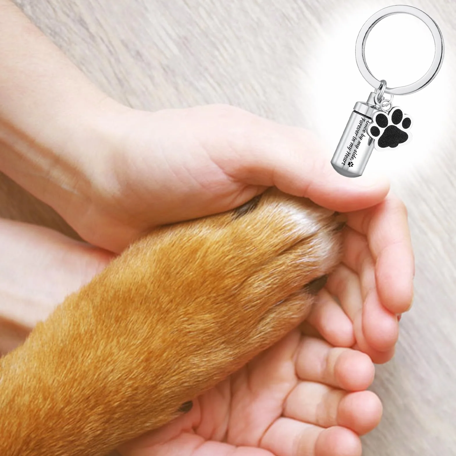 Portachiavi urna per animali domestici in acciaio inox, Mini urna cremazione, Ceneri di Cane, Ideale per souvenir e gioielli di animali domestici