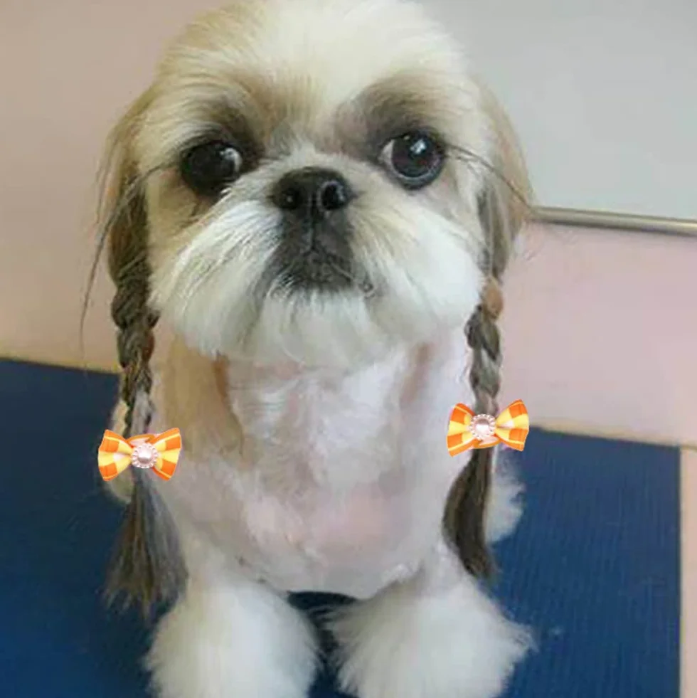 50 Pezzi Fiocchi per Capelli di Cani,Fiocchi per Cani con Elastici in Gomma,Fiocco Peli di Cane per Capelli Lunghi,Motivo Casuale