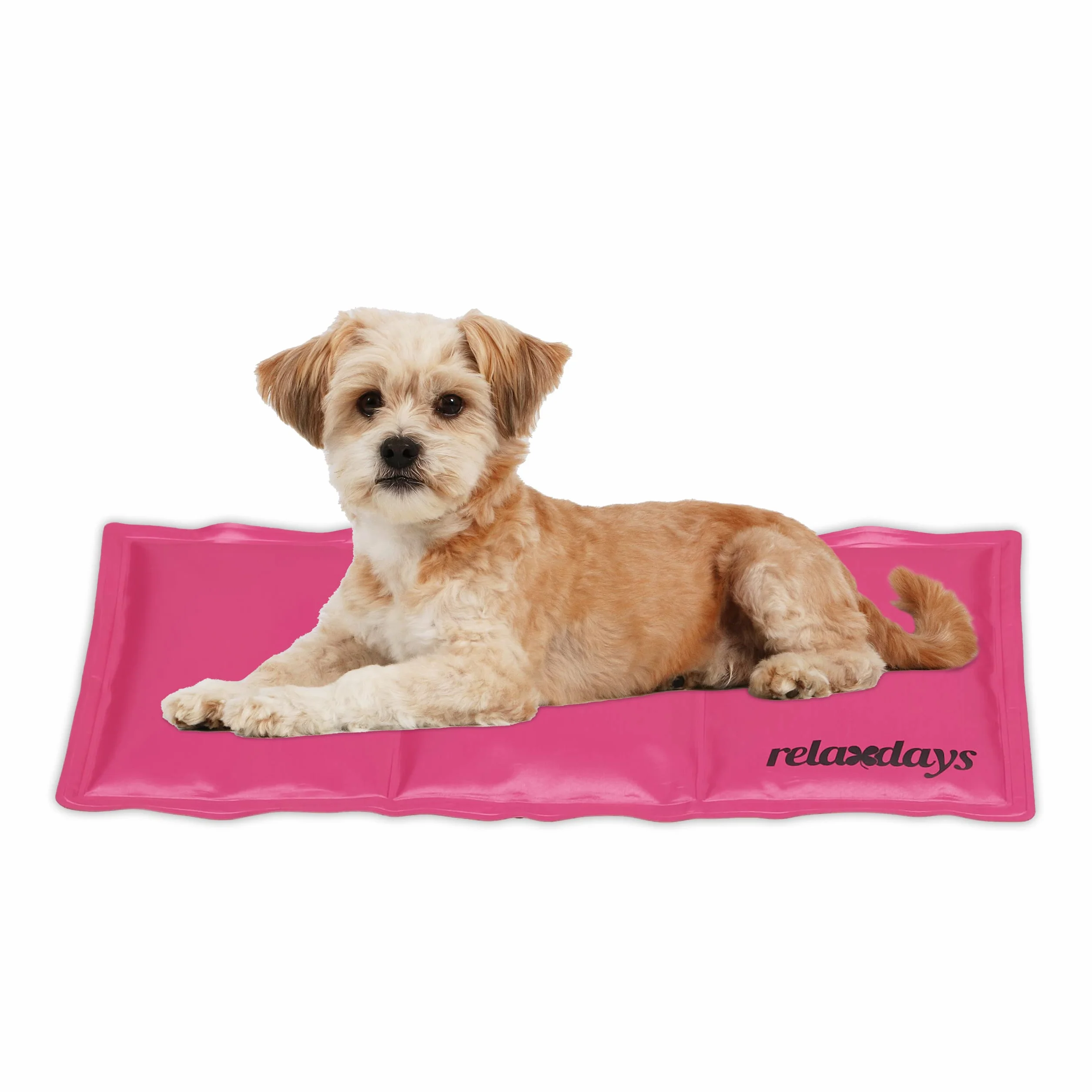 Relaxdays Tappetino Refrigerante per Cani, 20 x 35 cm, Tappeto Rinfrescante con Gel, Materassino Fresco Gatti, Rosa