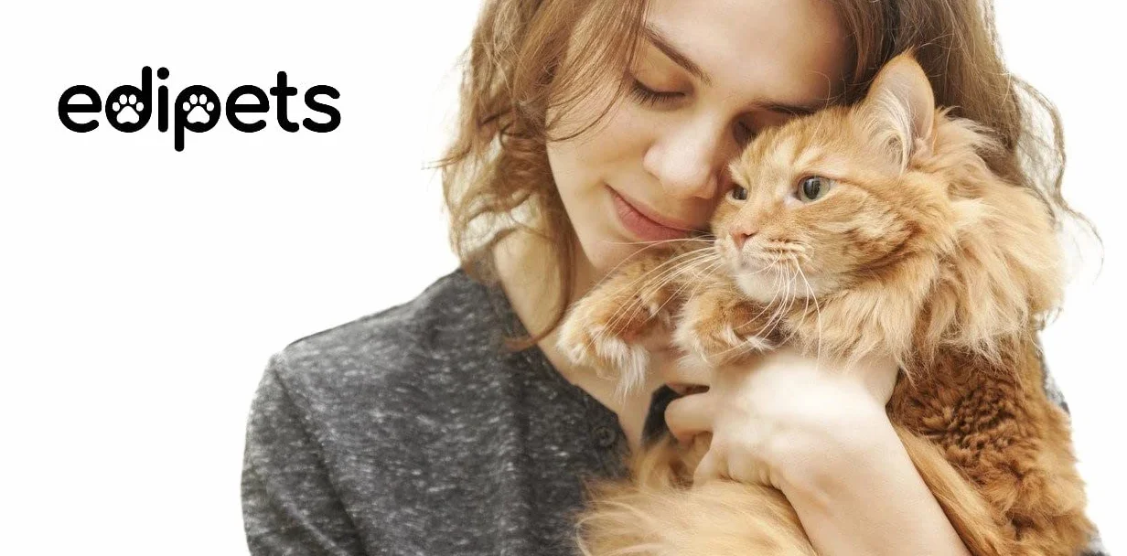 Edipets, Ciotole per Gatti Rialzate, Ciotola Gatto, Acqua e Cibo, Trasparente, Aiuta a Ridurre la Pressione sulle Vertebre (Trasparente)
