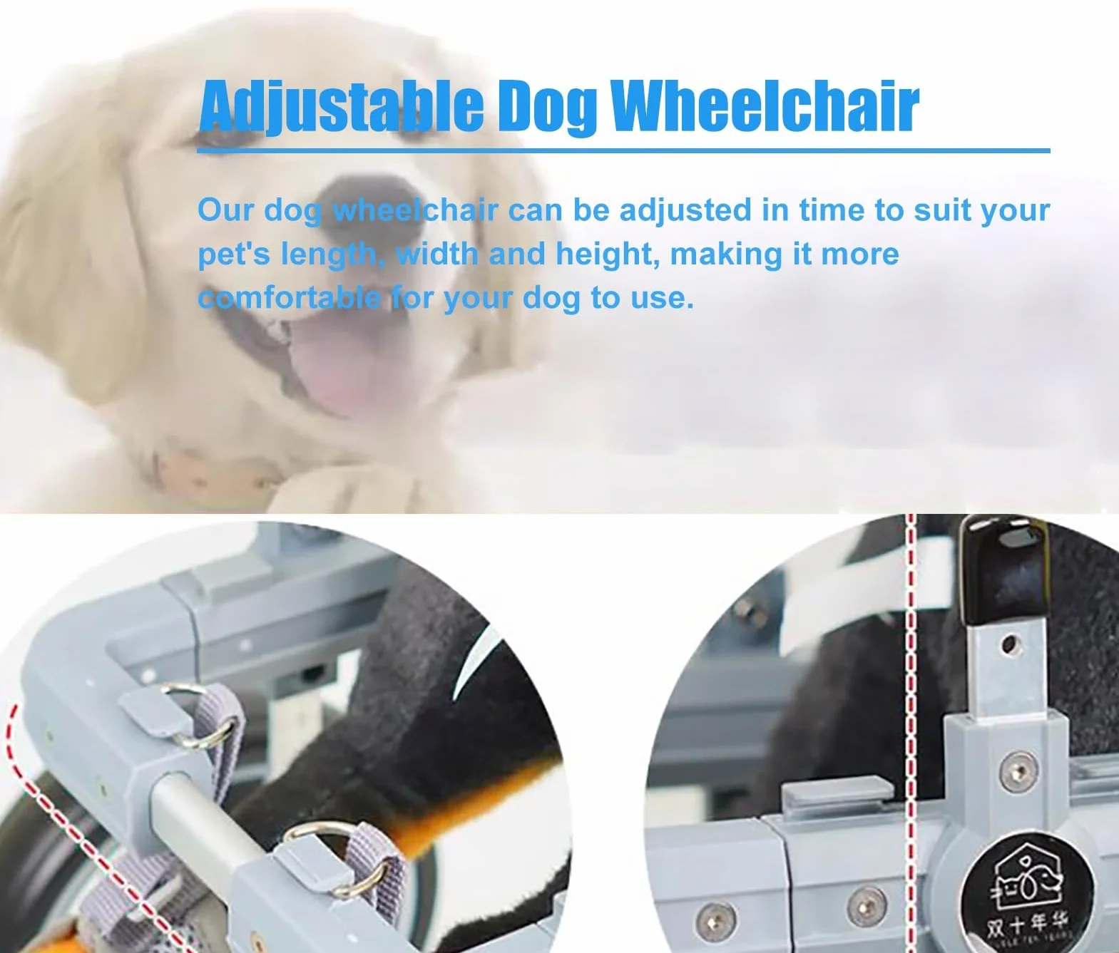 Carrello Cani Disabili Carrozzina per Cani a 2 Ruote per Zampe Posteriori, Ausilio Leggero per la Mobilità Dei Cani per Zampe Posteriori, Carrello di Supporto per L'addestramento Alla Riabilitazione(S