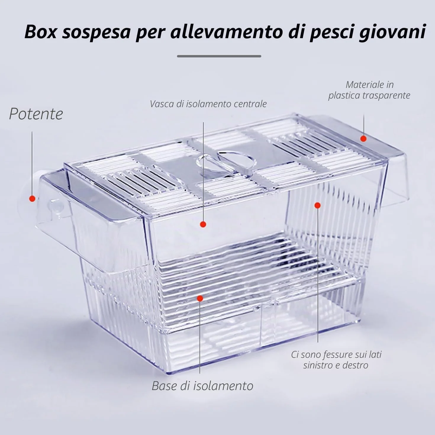 Scatola di isolamento trasparente a doppio strato, multifunzionale, galleggiante, con ventosa, per la cura di pesci piccoli nell'acquario, 12,6 x 7 x 7 cm