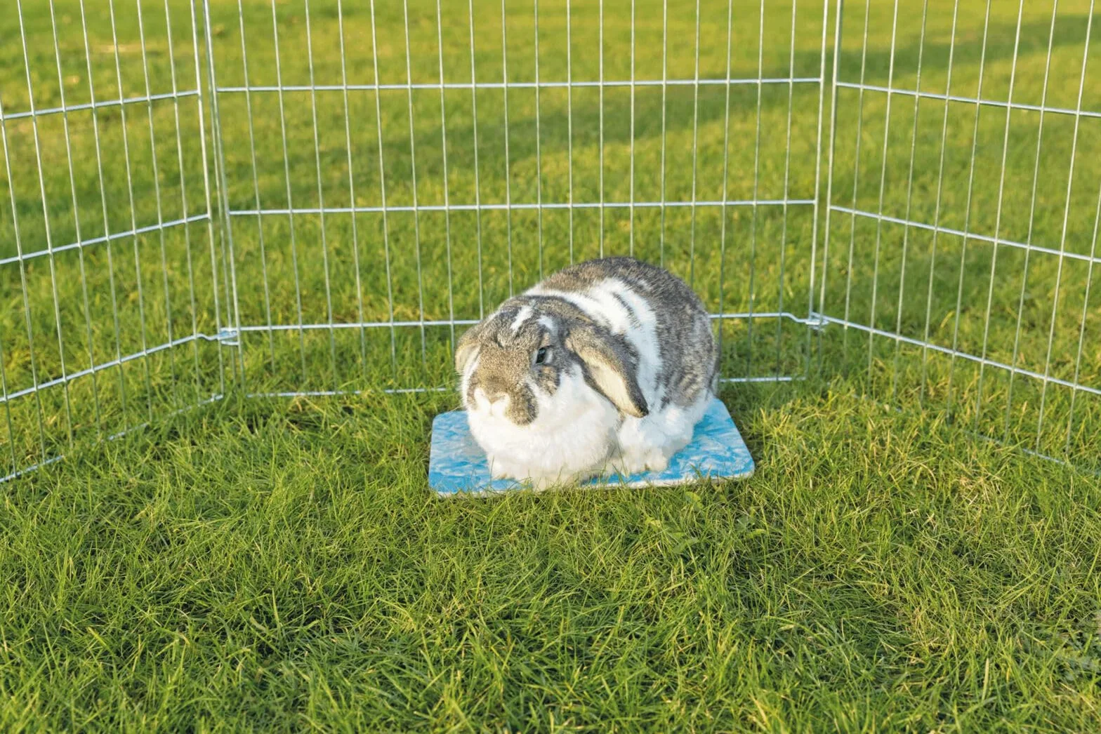 Trixie 63010 - Piastra refrigerante per Piccoli Animali