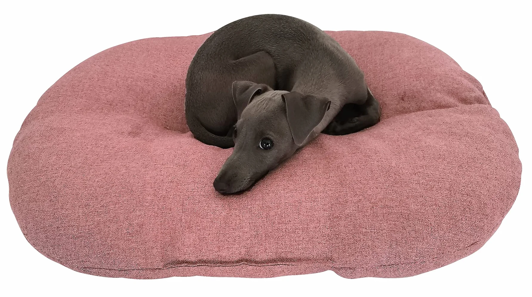 Croci Hydro - Cuscino per cane Ovale, Impermeabile Idrorepellente, Tessuto Lavabile facile da pulire, Blu, 61x40 cm