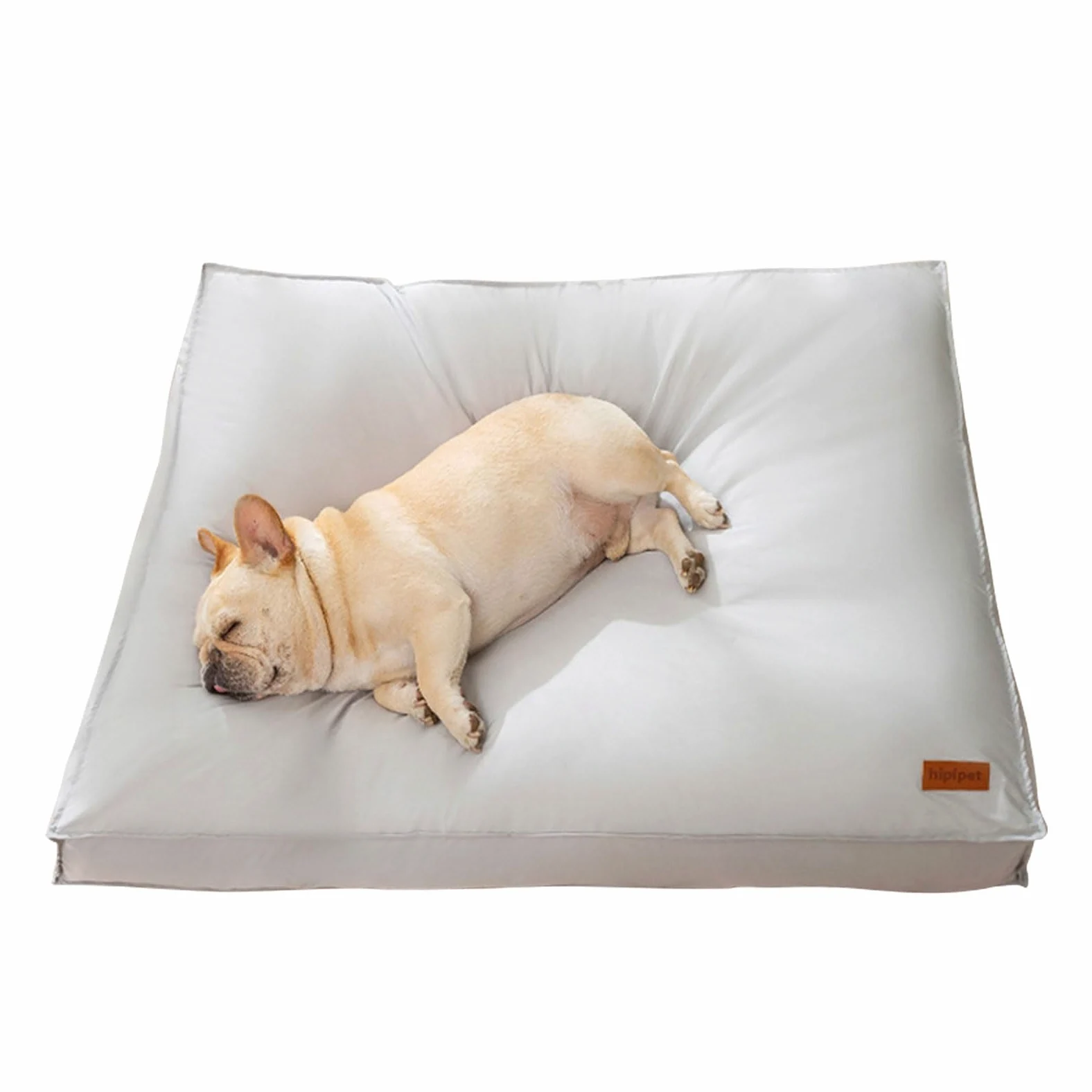 PETCUTE Cuccia Cane Interno Taglia Grande, Cuscino Cane Impermeabile con Sfoderabile e Lavabile, Letto per Cani Ortopedico con Base Antiscivolo,Cuccia Divano per Cani,Lavabile in Lavatrice