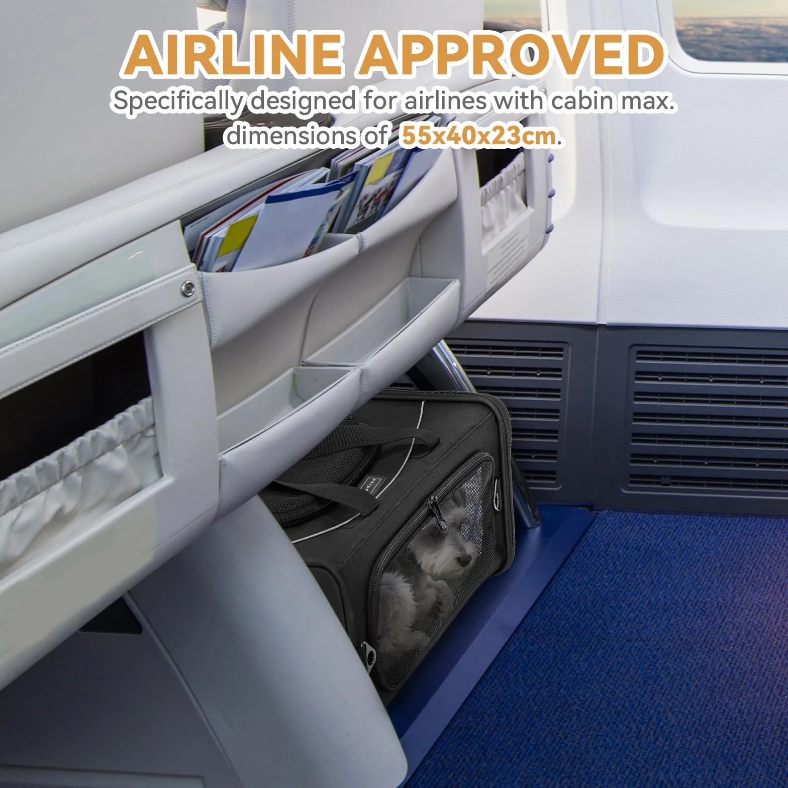 Petsfit Borsa per il trasporto di gatti e cani, aeroplano | borsa per cani e trasportino gatto | borsa aerea per animali domestici | trasporto sicuro in auto, aereo e treno, L/nero