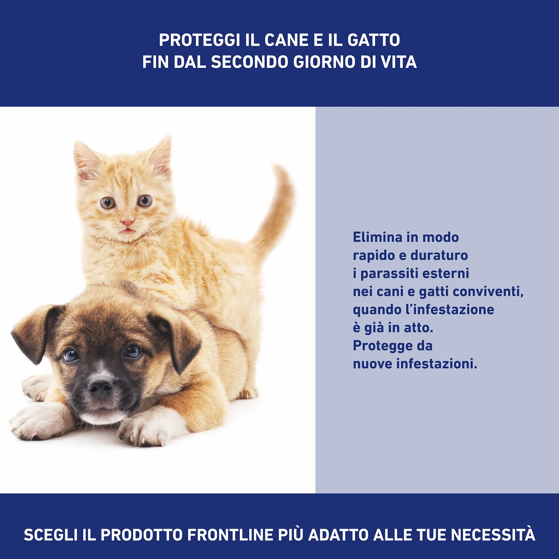 FRONTLINE Spray 250 ml, Antiparassitario per Cani e Gatti e Cuccioli dal Secondo Giorno di Vita, a Lunga Durata, Elimina e Protegge da Zecche, Pulci e Pidocchi