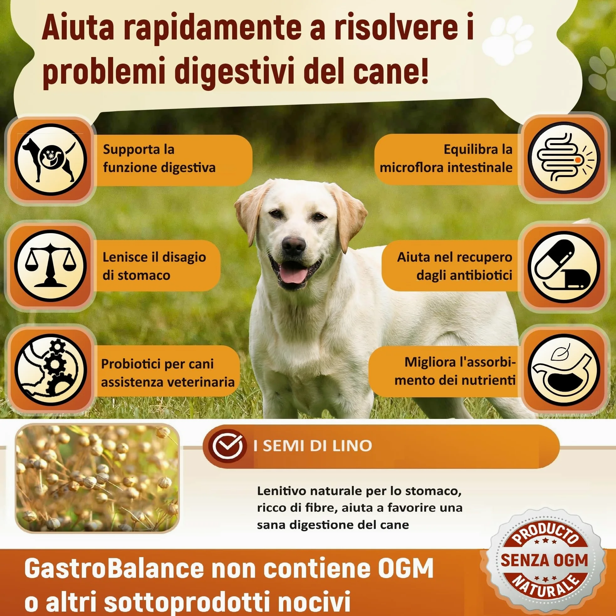 cani probiotici – 60 bocconcini masticabili naturali prebiotici e probiotici per cane - Sapore di Pollo