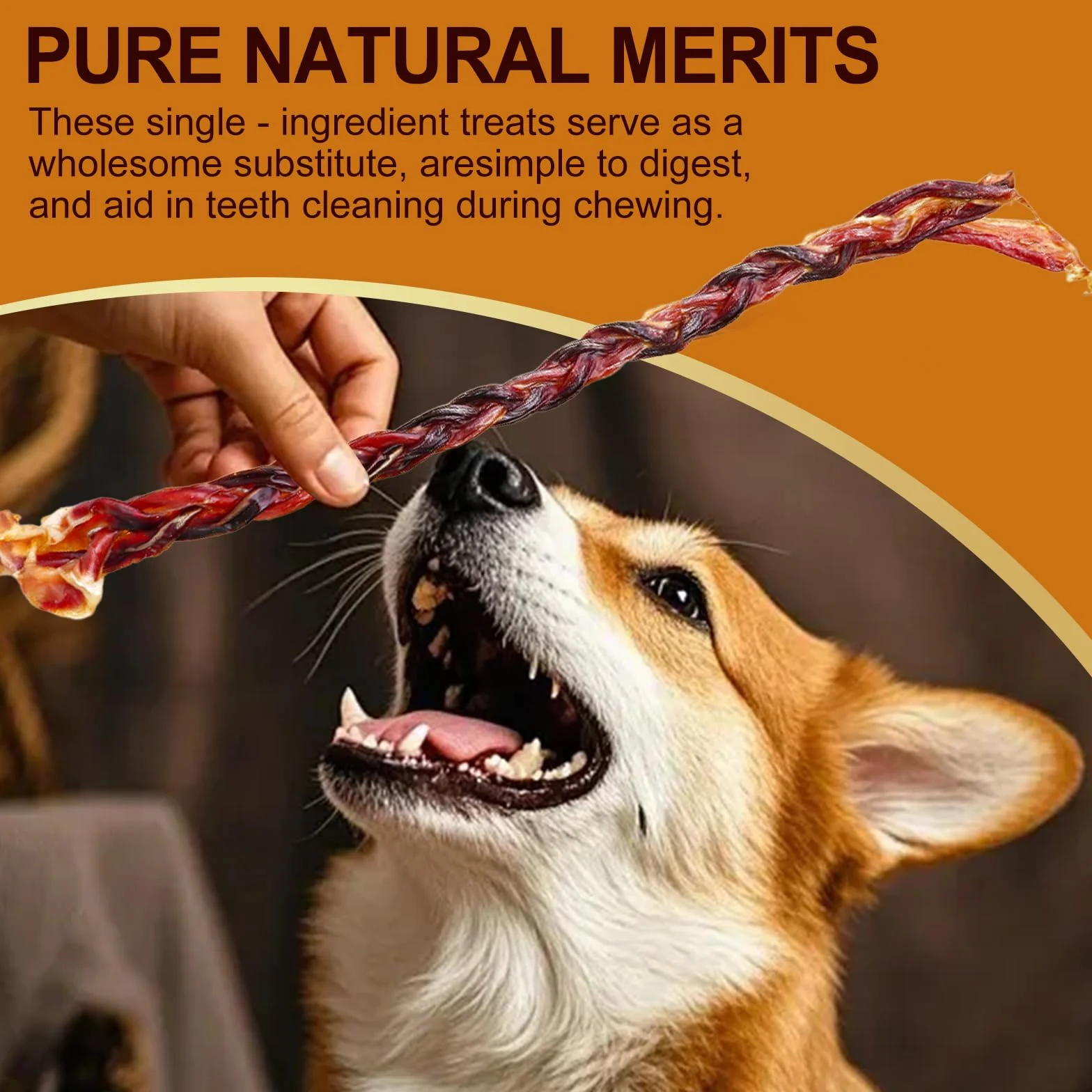3 Pezzi di Snack per Cani al Frustino di Maiale 28cm Ciascuno 60g Totale Snack per Cani con Masticazione Intensa (S, Yogurt)