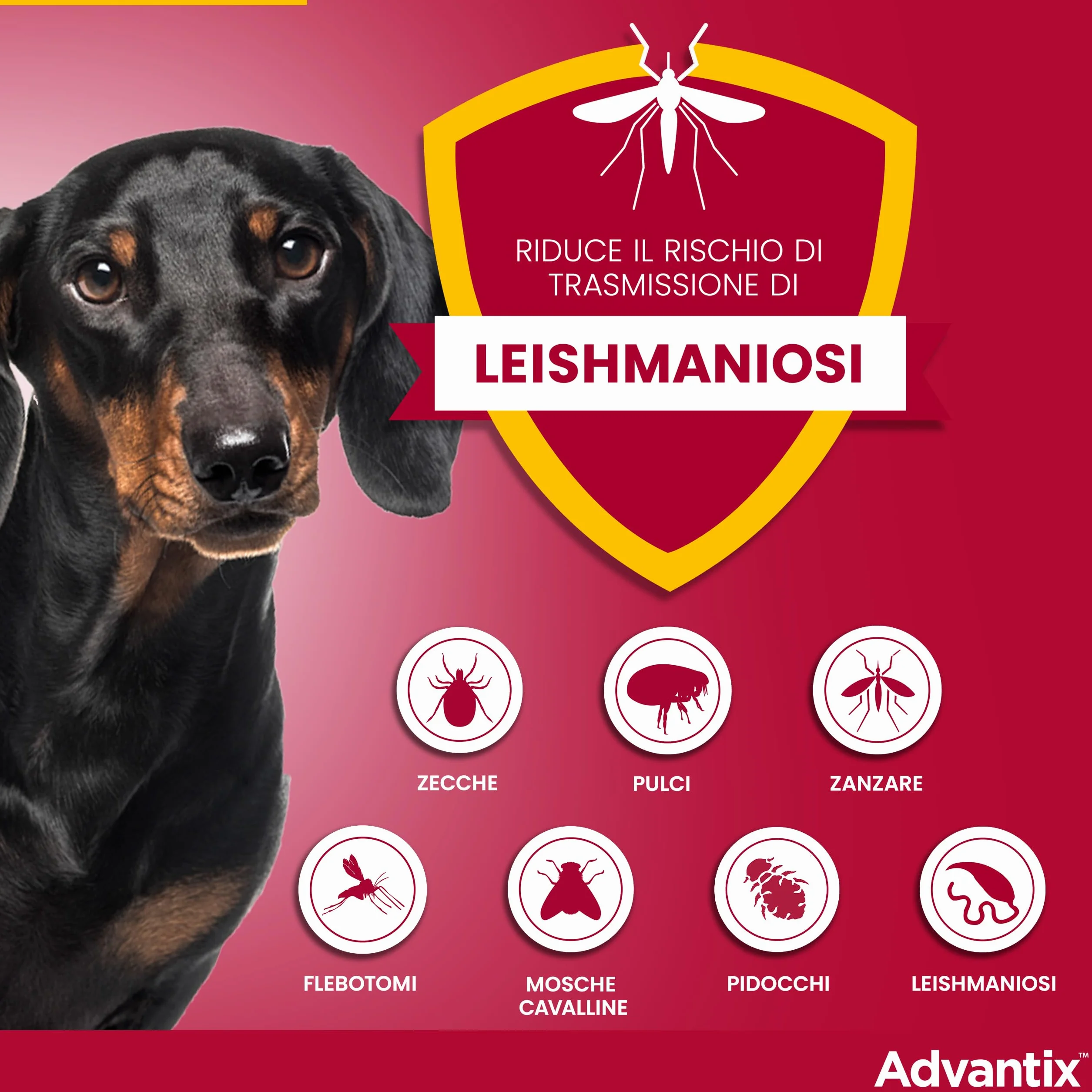 Advantix Spot-on Antiparassitario per Cani 10-25 kg, 4 Pipette 2.5 ml, Elimina Zecche Pulci e Larve