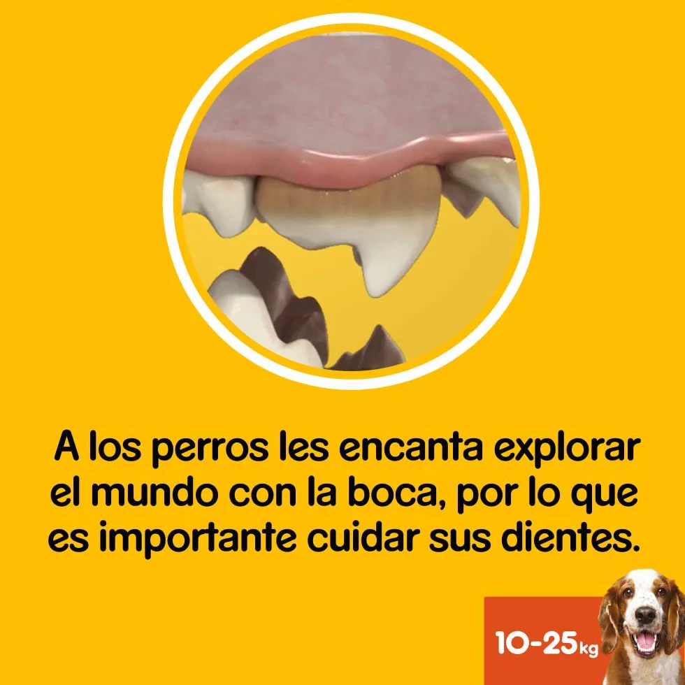 Pedigree Dentastix Snack per la Igiene Orale, Cane Medio 10-25 kg Confezione Scorta, 56 Bastoncini - 8 x 180 gr