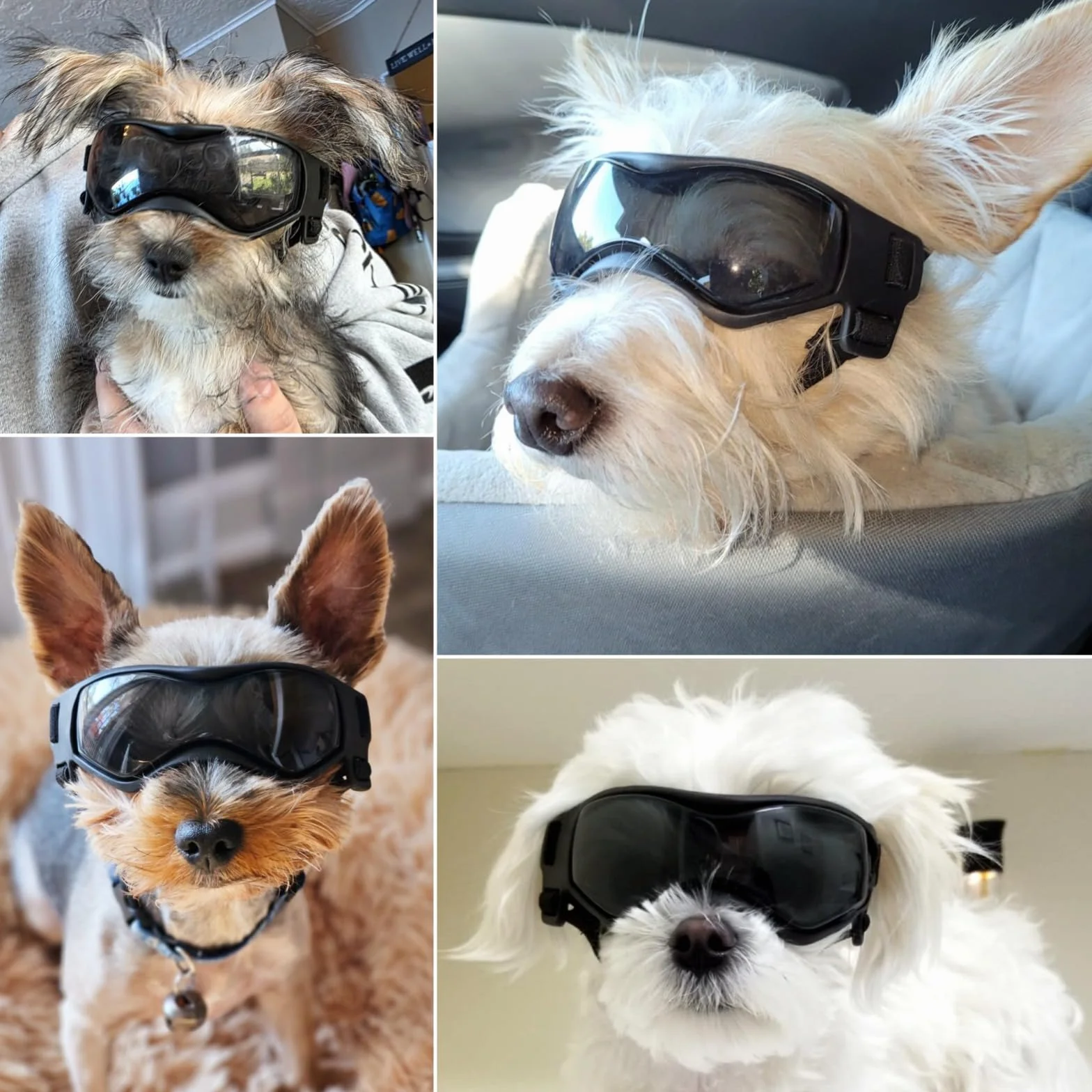 Enjoying Occhiali per Cani Taglia Piccola, Occhiali da Sole per Cucciolo Moto, Gatti Adulti Occhiali Cane, Protezione UV, Regolabile, Cool Nero