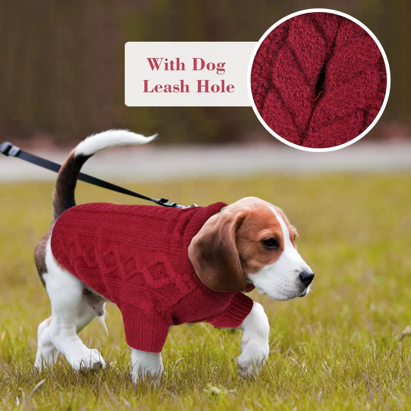 Maglioncino Cane Taglia Media con Zampe Foro Guinzaglio Rosso Scuro XL