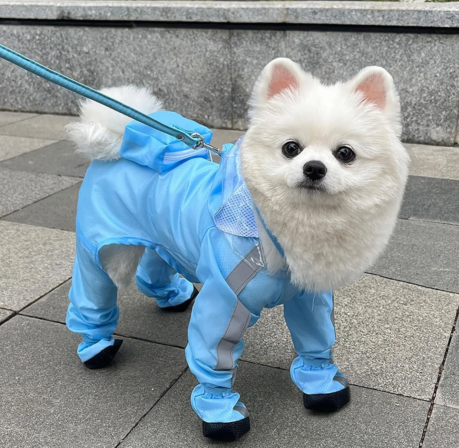Impermeabile per cani con cappuccio - Tuta impermeabile a copertura completa per quattro zampe con scarpe, asciugatura rapida, per animali domestici, per cani di taglia piccola, media e