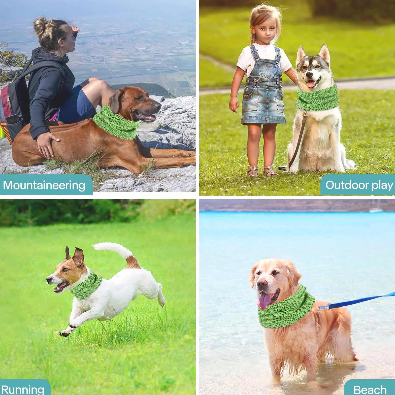 Collare di Raffreddamento per Cani Rinfrescante Estate