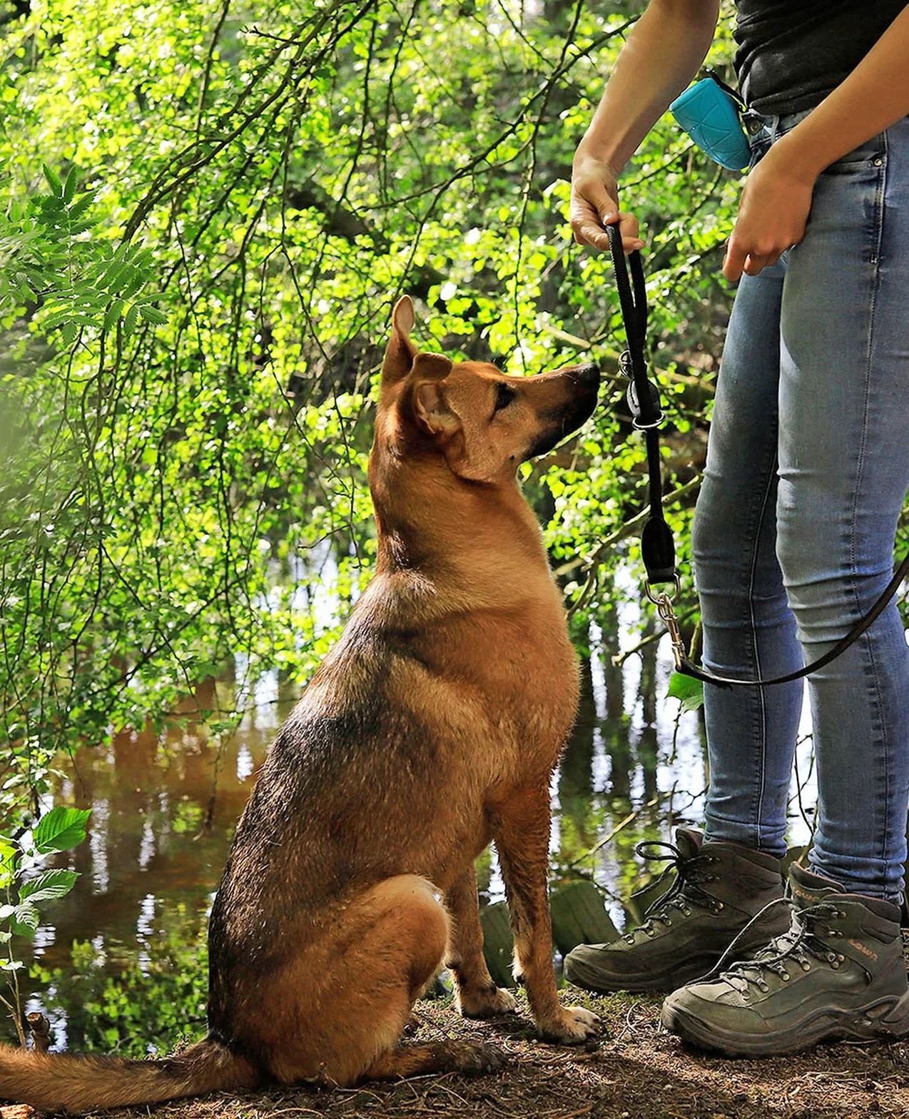 lionto Collare per cani collare retriever collare da addestramento 60 cm Nero