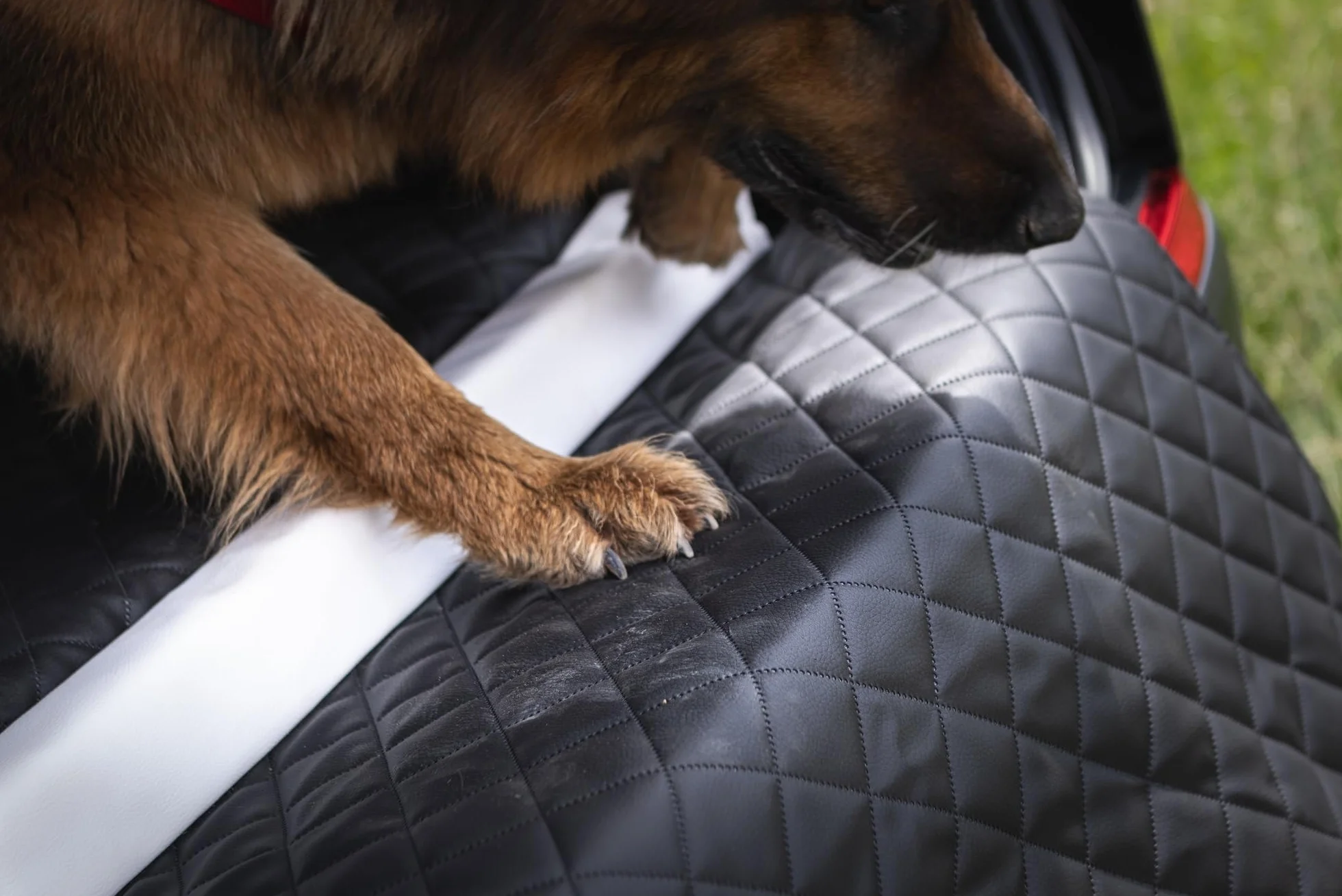 Velinda Trasportino Auto per Cani Materasso Bagagliaio Letto Macchina Cintura 100x70cm (Colore: Nero)