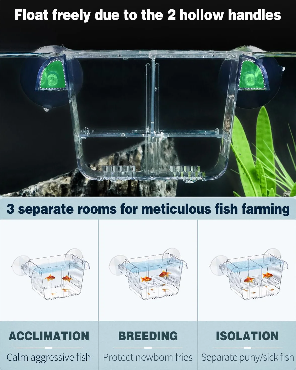 Pawfly Scatola di allevamento di pesci per acquario incubatrice per bambini con 6 ventose acrilica Gamberetti Betta piccola