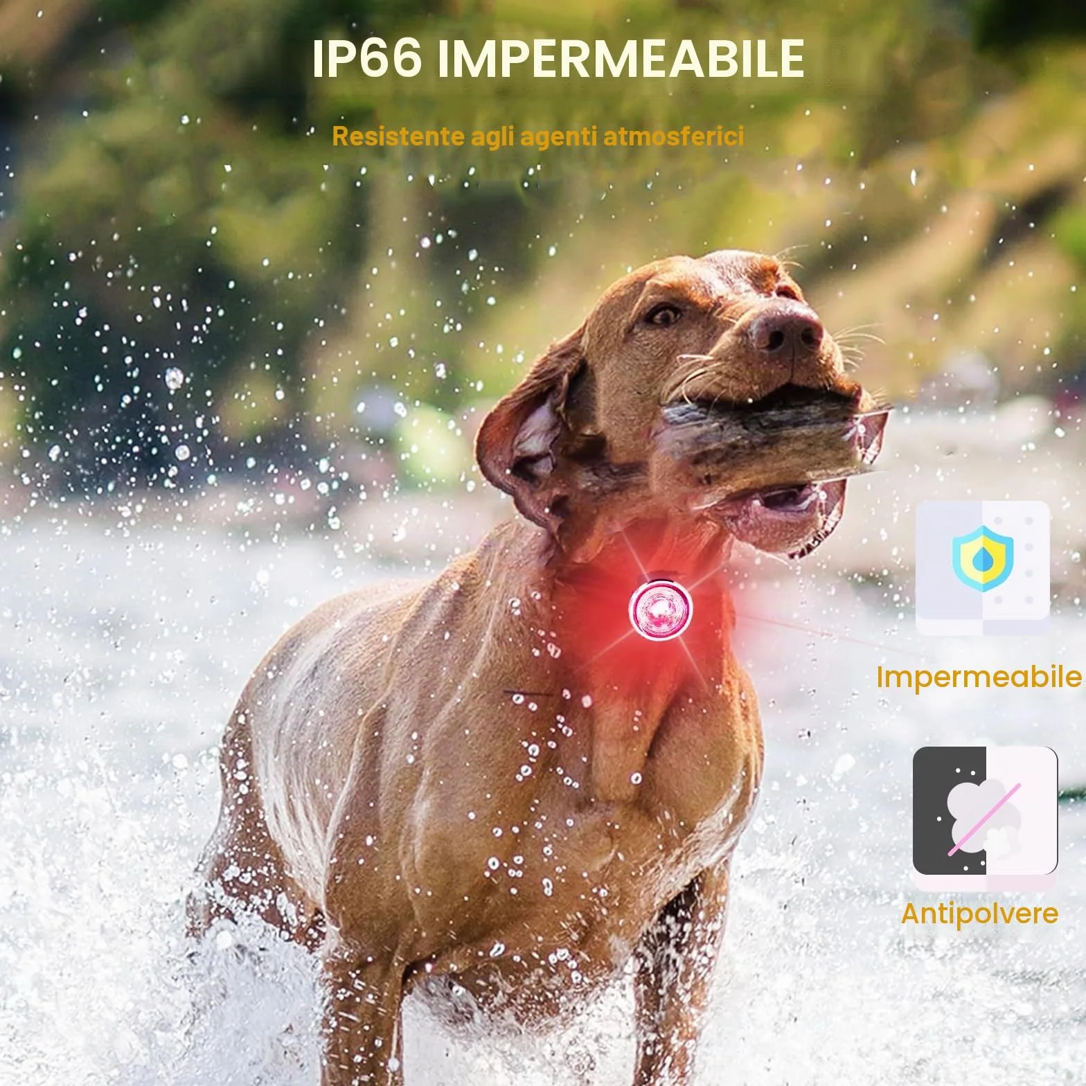 Tubasion Confezione da 2 luci per cani ricaricabili IPX6 impermeabile 8 modalità notturne