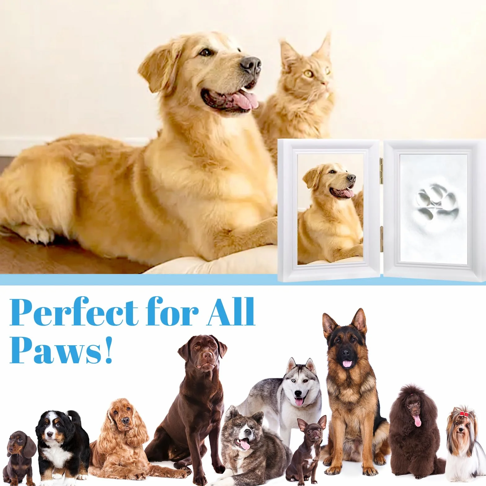Set impronta Zampa Cane e Gatto, Set Portafoto e impronta Della Zampa, Calco in gesso 3D - Scatola dei Ricordi, per Cornice per Foto con Stampa Zampa di Animale Domestico e Set di Timbri