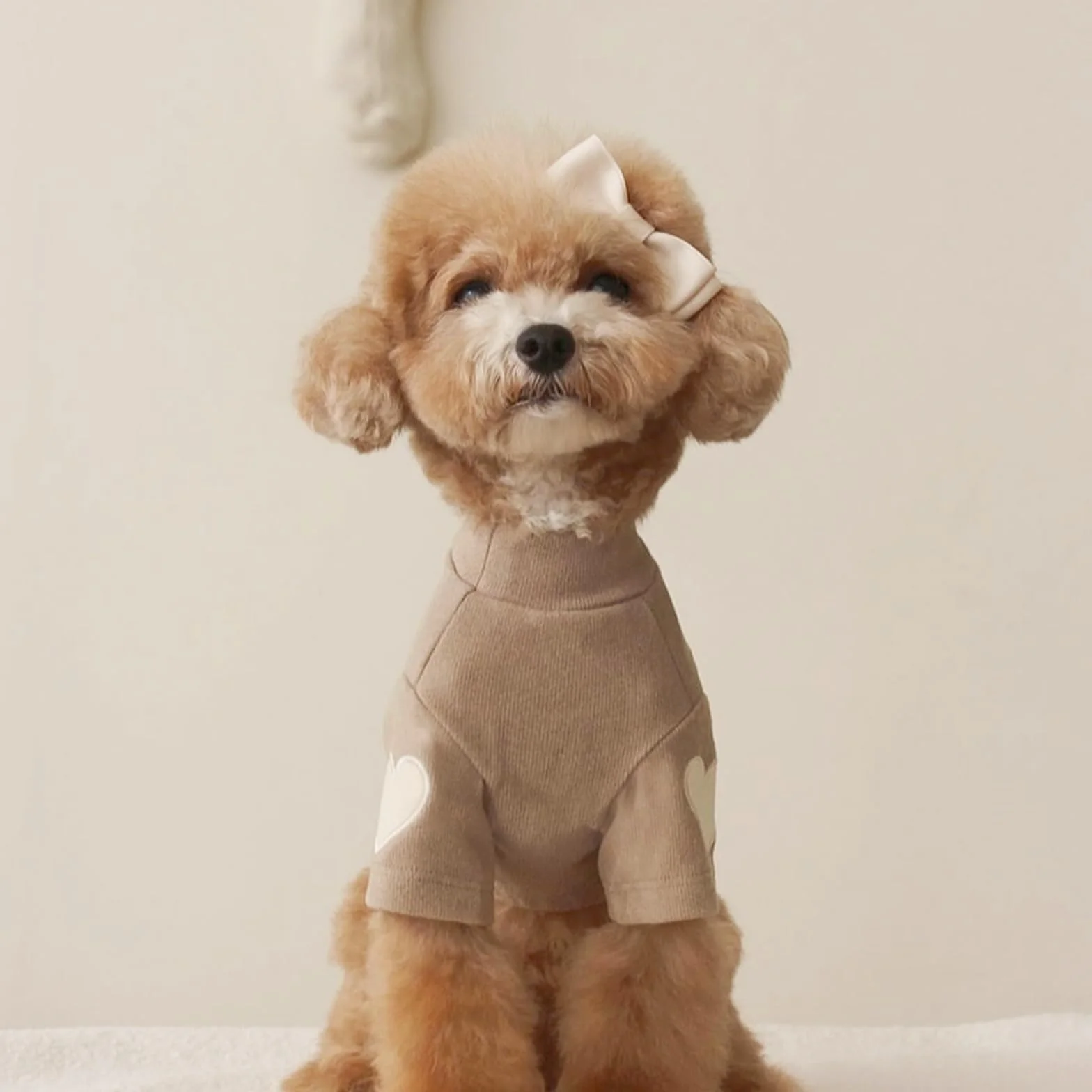 Felpa per cani taglia piccola e media calda con stampa cuore per gatti cuccioli chihuahua schnauzer caffè L