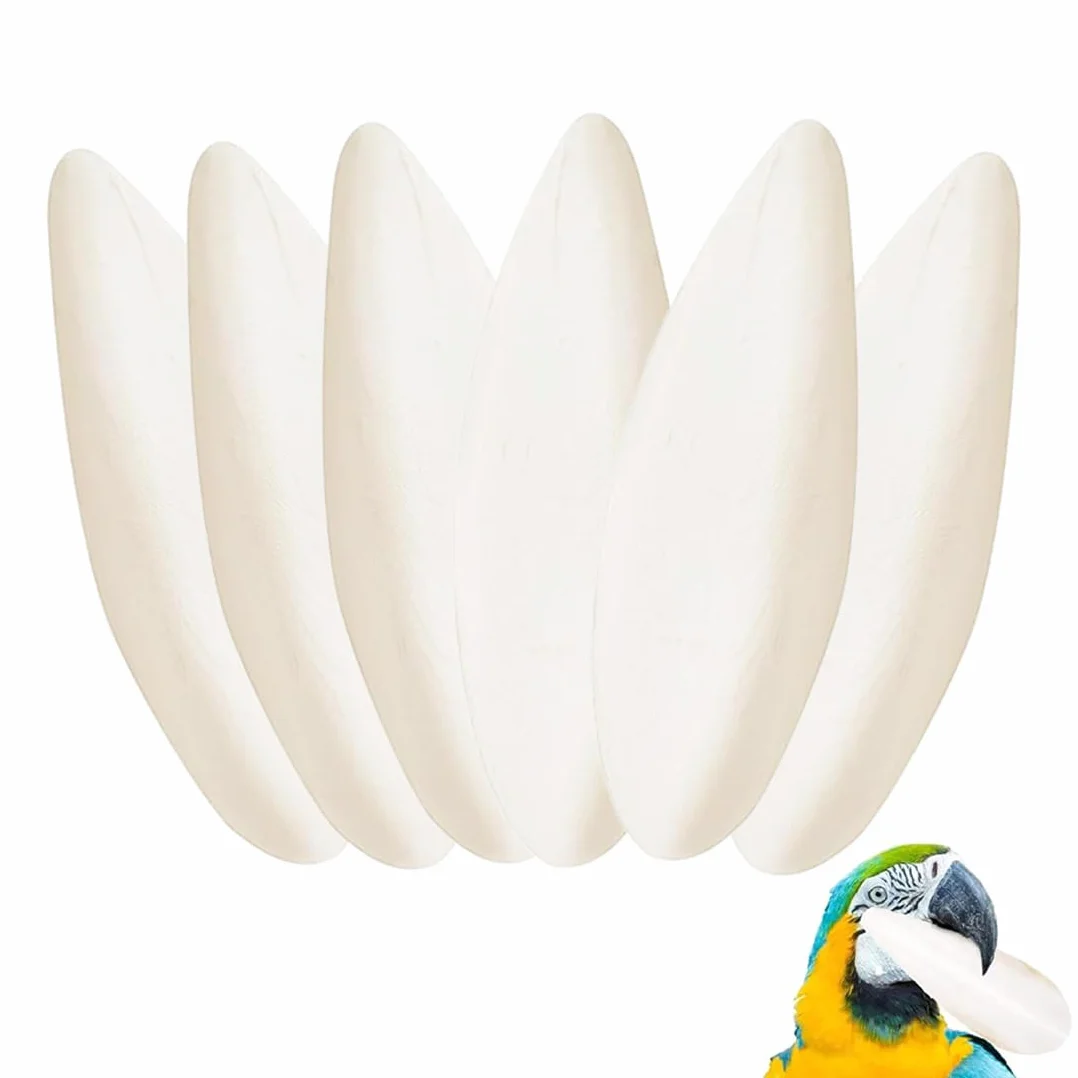 Seppia Uccelli Masticare Giocattoli pappagalli Ossa per Tartarughe 11-13 cm 6 Pezzi