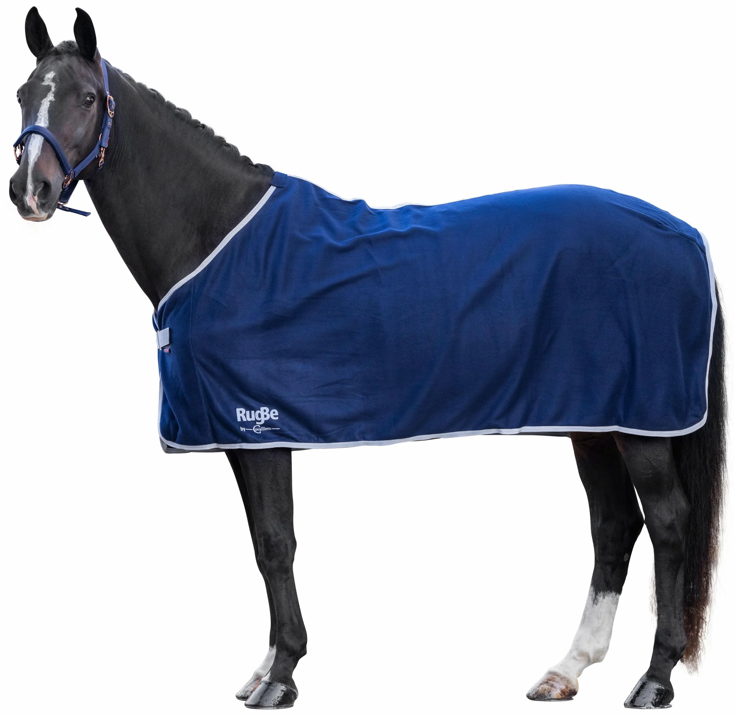 Covalliero Coperta in pile RugBe Economic navy, 115 cm