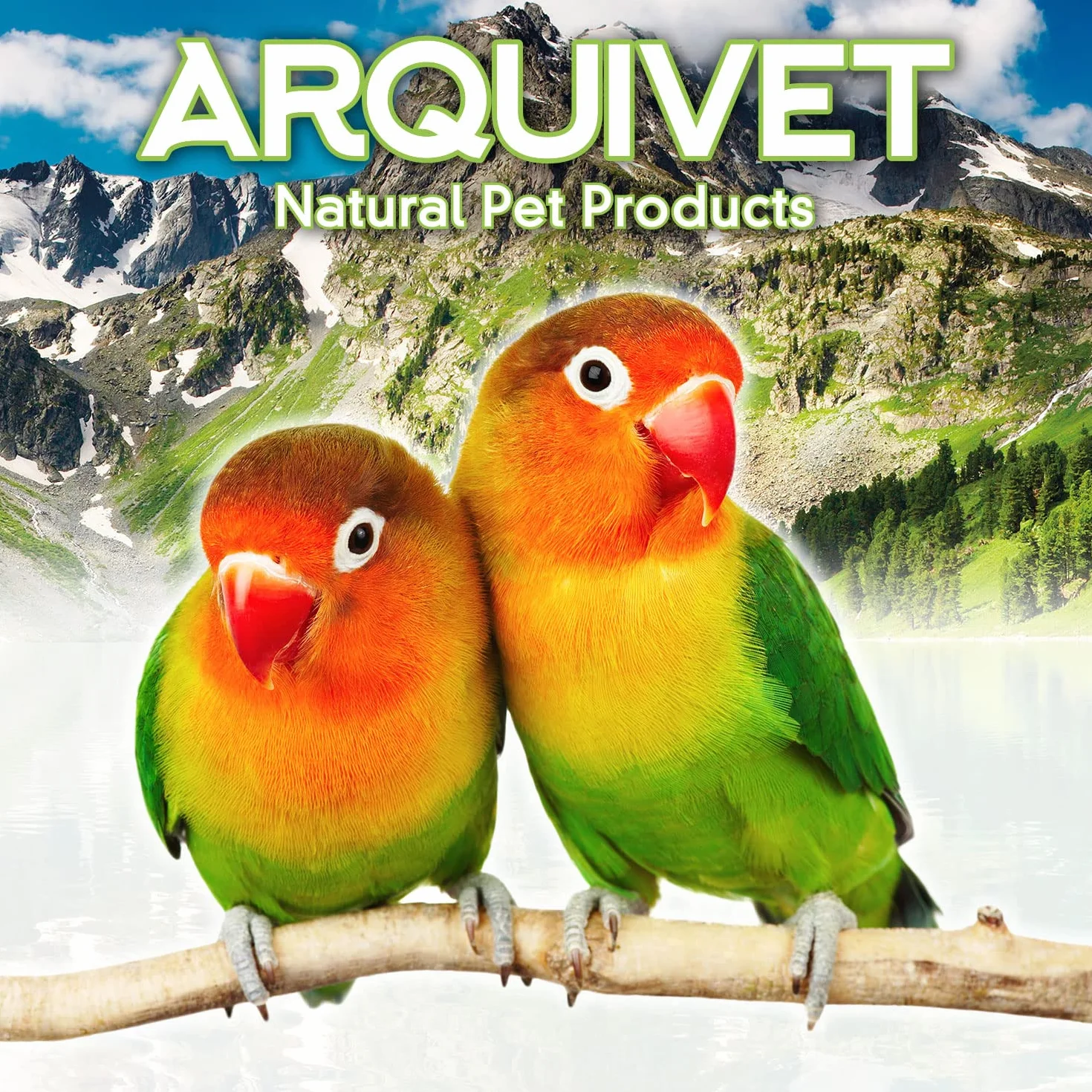 Arquivet Abbeveratoio in plastica per uccelli 13 cm 85 cc