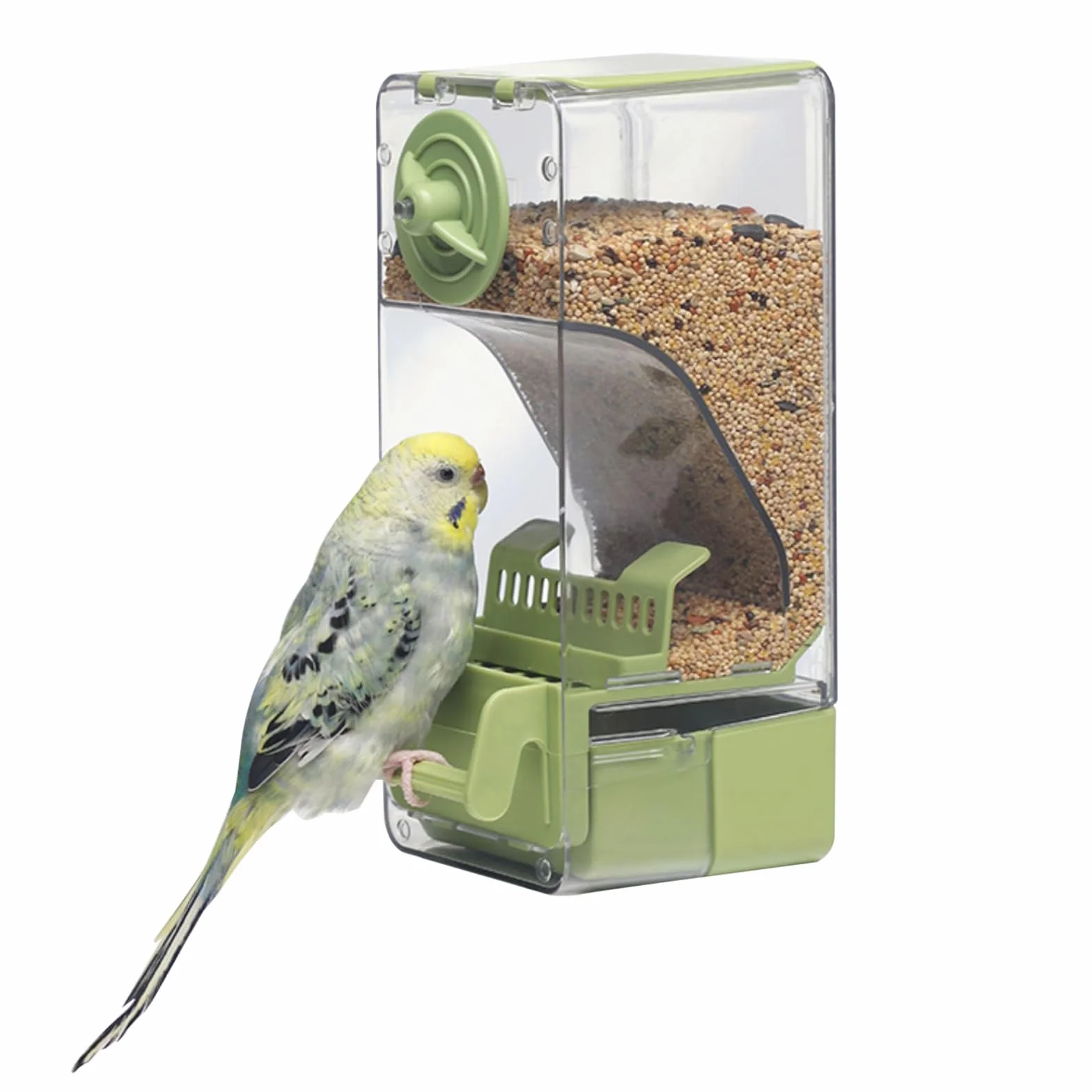 Mangiatoia automatica per uccelli, mangiatoia per gabbia per uccelli con trespolo per parrocchetto canarino calopsitta fringuello (Verde)
