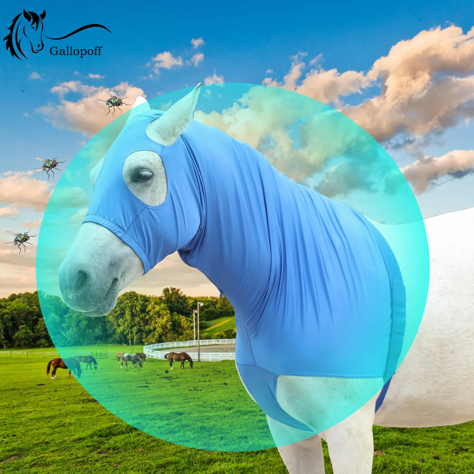 Hood Cavallo Elasticizzato con zip - Copertura del Collo e del Volto Completa