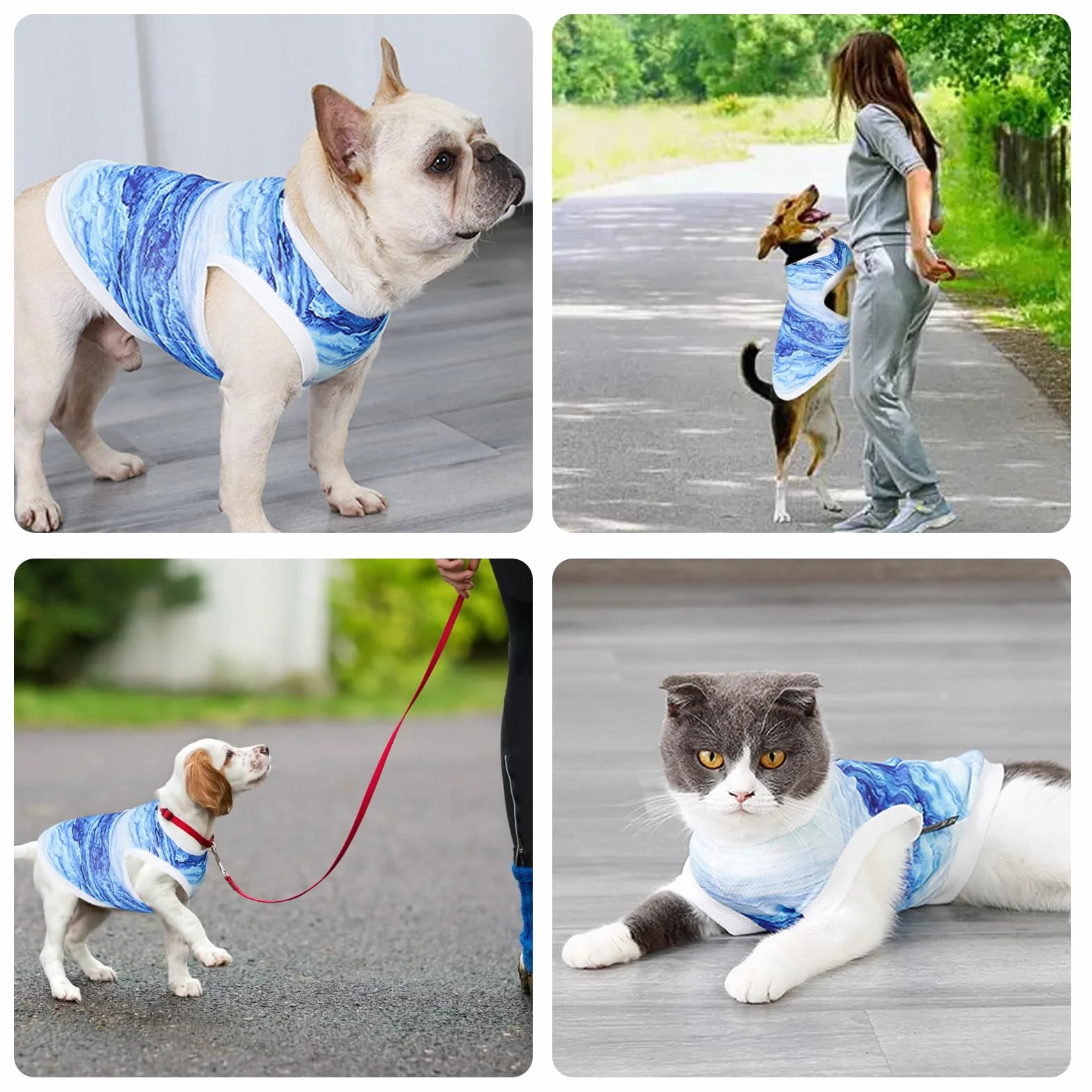 Cappotto per Cani Gilet di Raffreddamento Traspirante Leggera Refrigerante per Attività Esterne