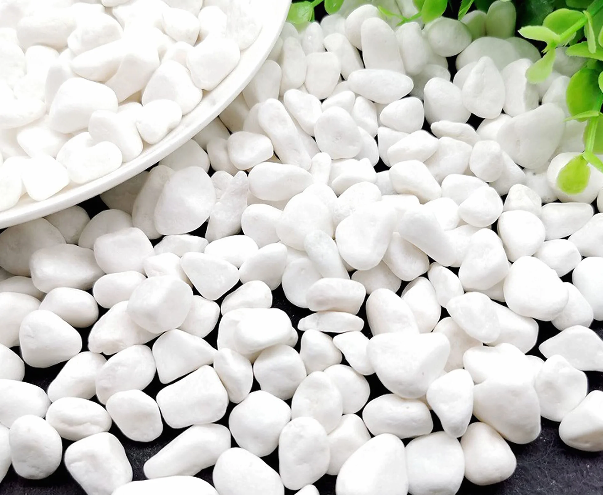Ghiaia Acquario Ghiaia Bianca Naturale Ghiaia per Giardino Pietre Bianche Decorazione Pianta Bianca 900g Ghiaia Tartaruga
