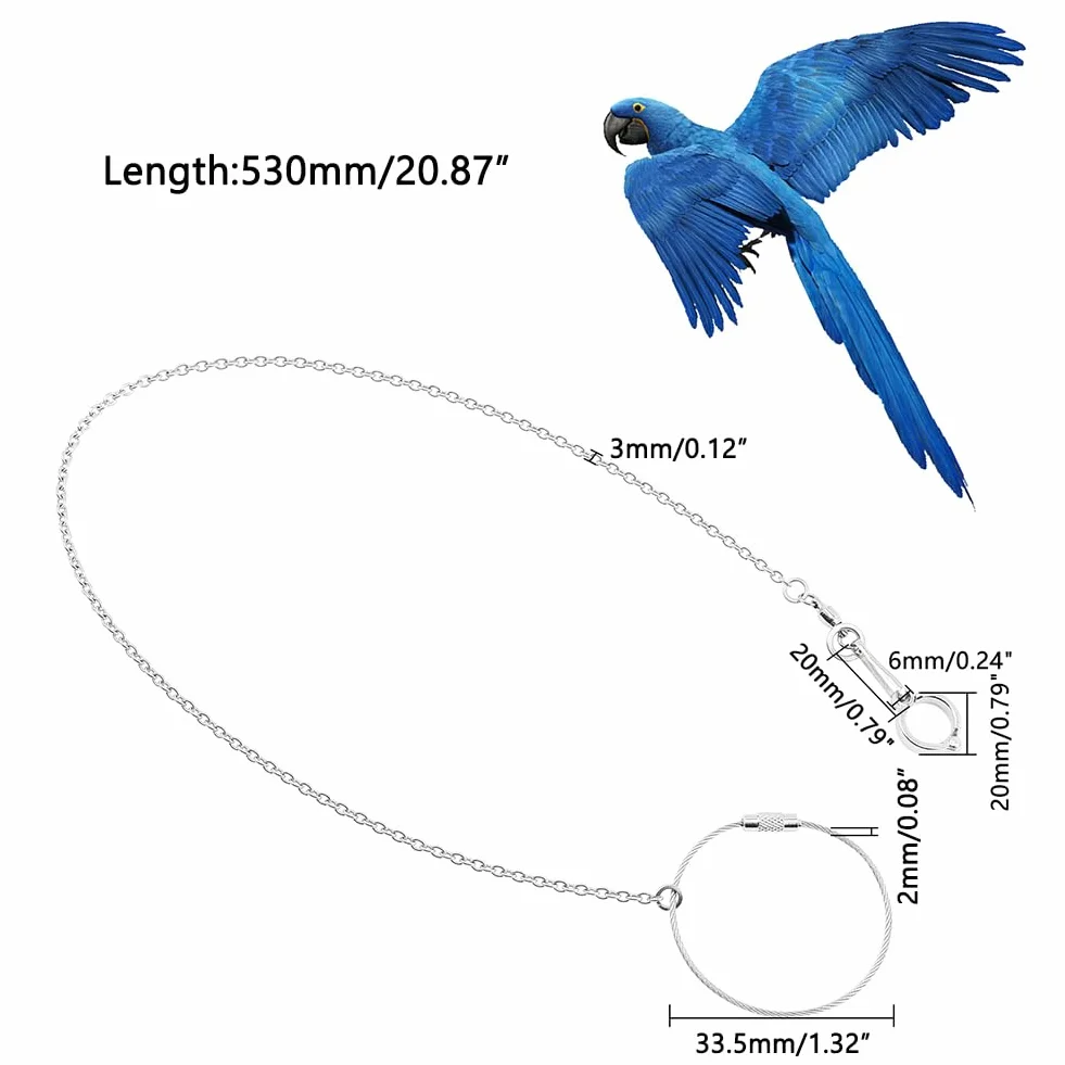 AHANDMAKER Catenina per Pappagalli per Uccelli da Compagnia, Catena in Acciaio Inox con Piedistallo per Uccelli con Anello, Accessori per Anelli Pappagallo Caviglia (Modello 12, 11.5 millimetro)