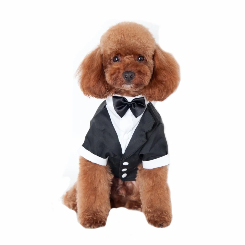 Pet Dog Clothes Solid-Colored indossare bretelle Business Suit adatto per primavera e estate