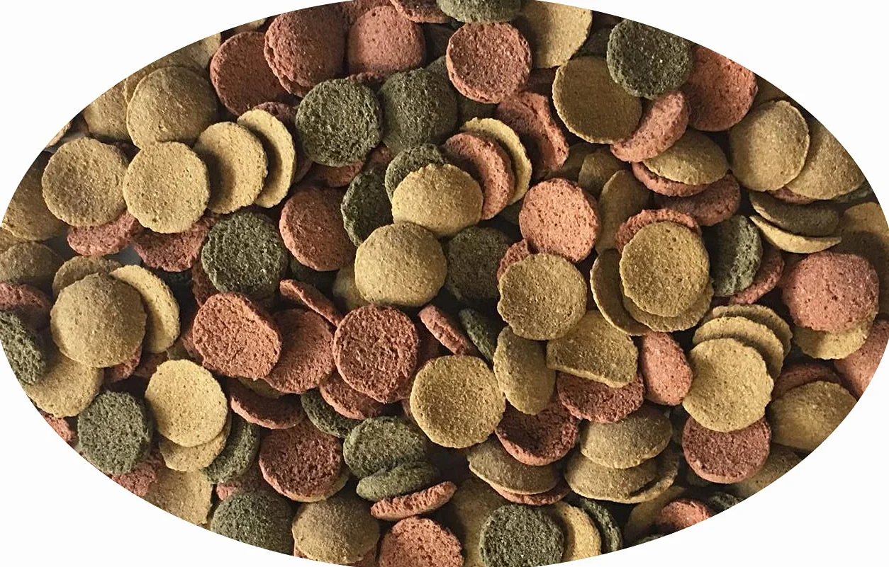 Haquoss Tablet Mix Mangime in Pastiglie affondanti per Pesci Pulitori, 100 ml/36 gr