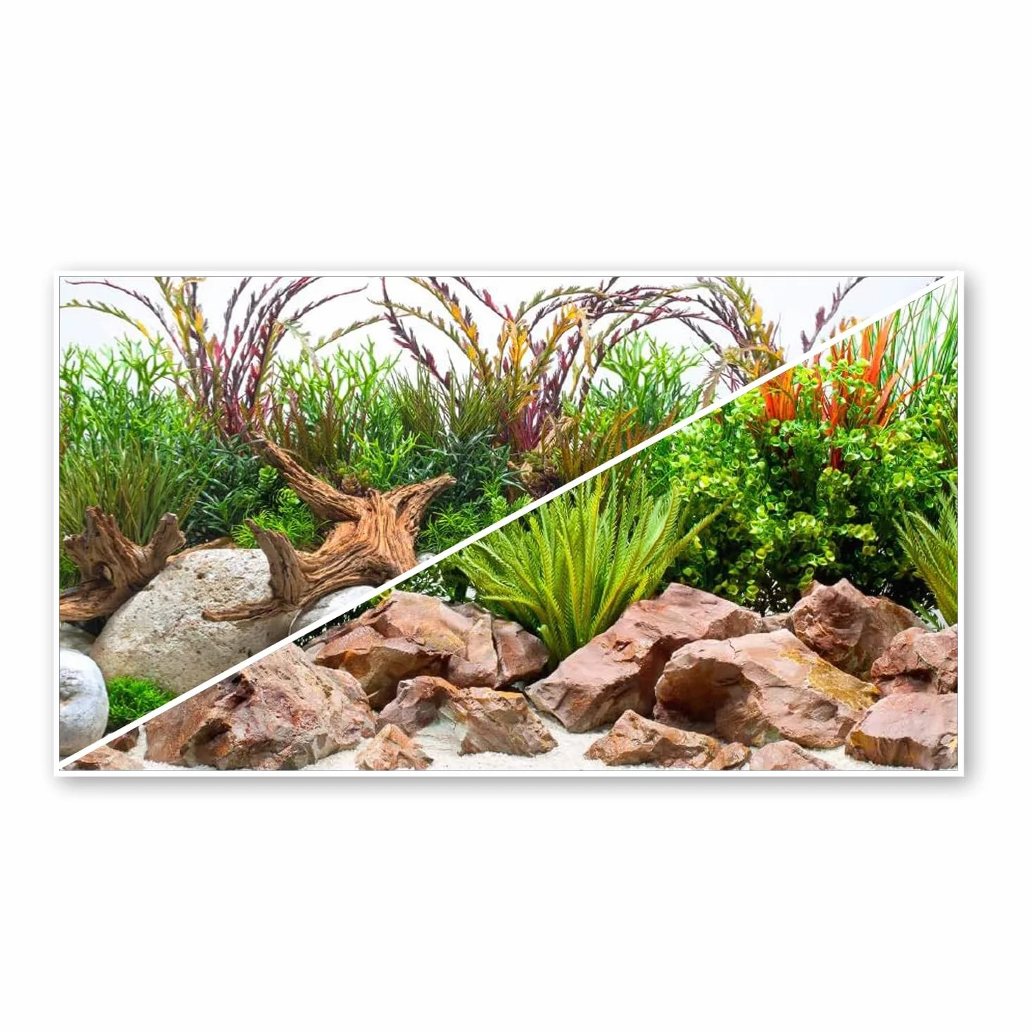 Amtra Sfondo Doppio River - Sfondo Poster per Acquario, Decorazione a Doppia Stampa HD, Double Face, Impermeabile, Formato 30x60 cm