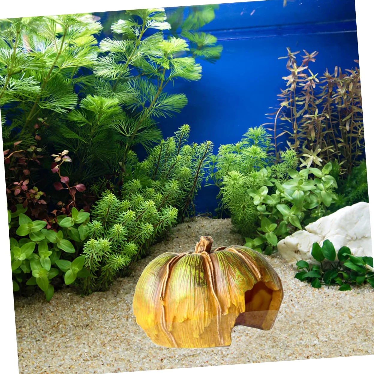 Alipis Grotta Decorativa Per Acquario Zucca Accessorio Per Acquario in Resina Decorazione e Per Pesci e Gamberetti Paesaggistico Per Acquari Piccoli e Compatti