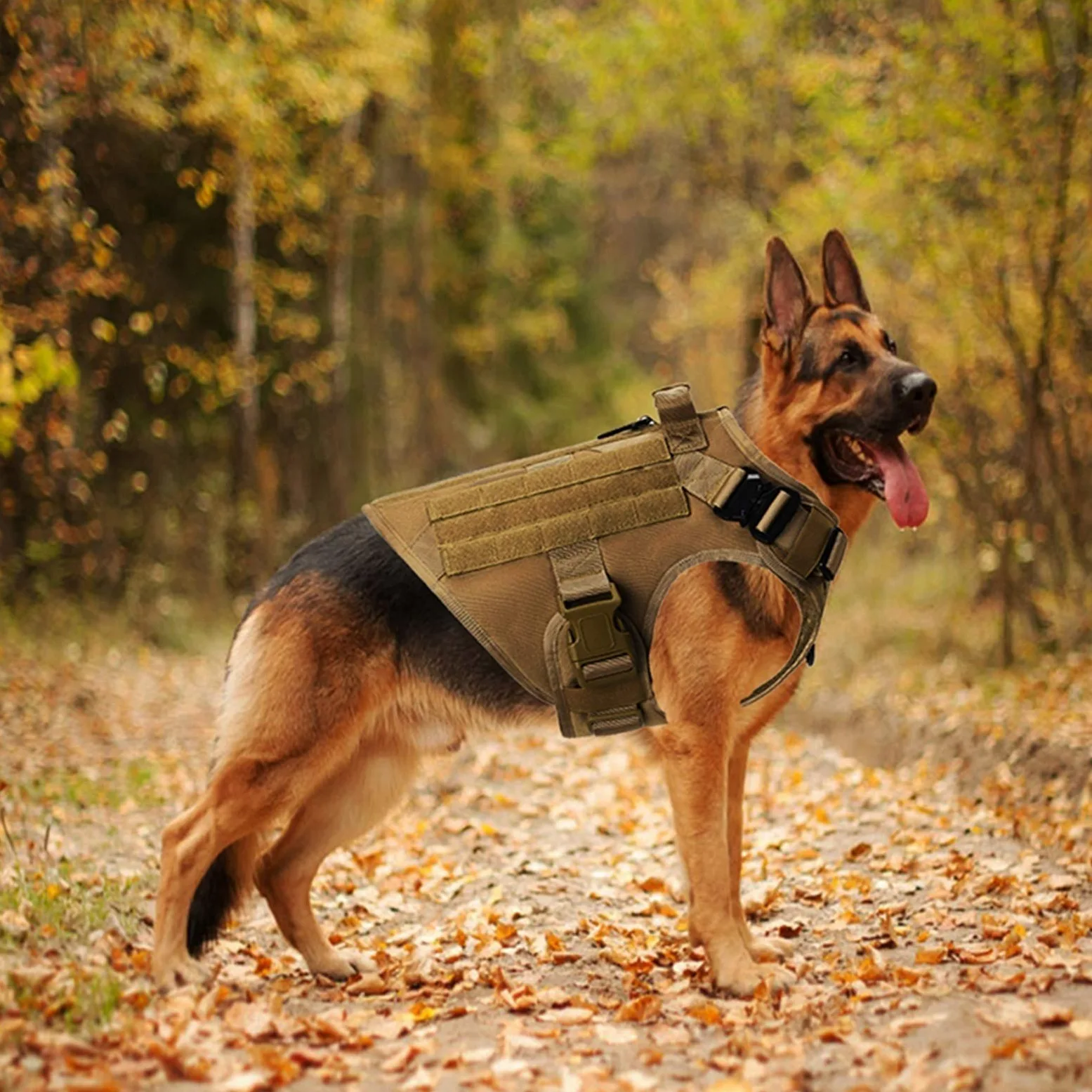 Pettorina Antitrazione per Cani di Grossa Tattica Militare, Pettorina per Cani da Pastore Tedesco Doberman Labrador, Prodotto di Addestramento per Cani di Servizio