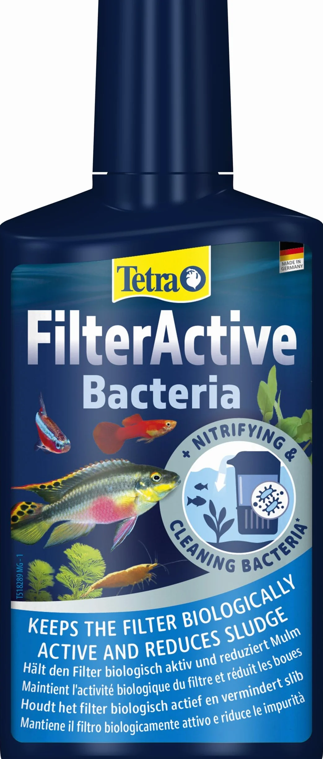 Tetra FilterActive 250 ml Batteri Vivi Attivano Filtro Riducono Accumulo Impurità Mantiene Biologicamente Attivo