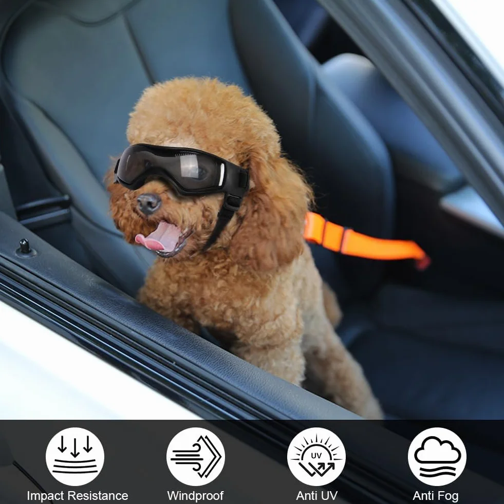 Occhiali per Animali Domestici, Occhiali da Sole per Cani di Piccola Taglia, Antivento Occhiali per Cani con Cinturino Regolabile, Anti UV, Impermeabili, per Cani di Taglia Piccola/Media (S)