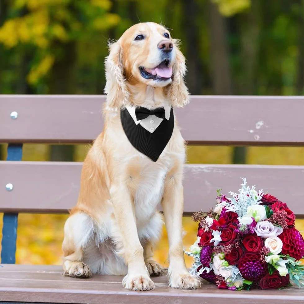 DONGKER Collare Smoking per Cani Regolabile con Papillon per Cane Piccola Media Grande Matrimonio Compleanno San Valentino
