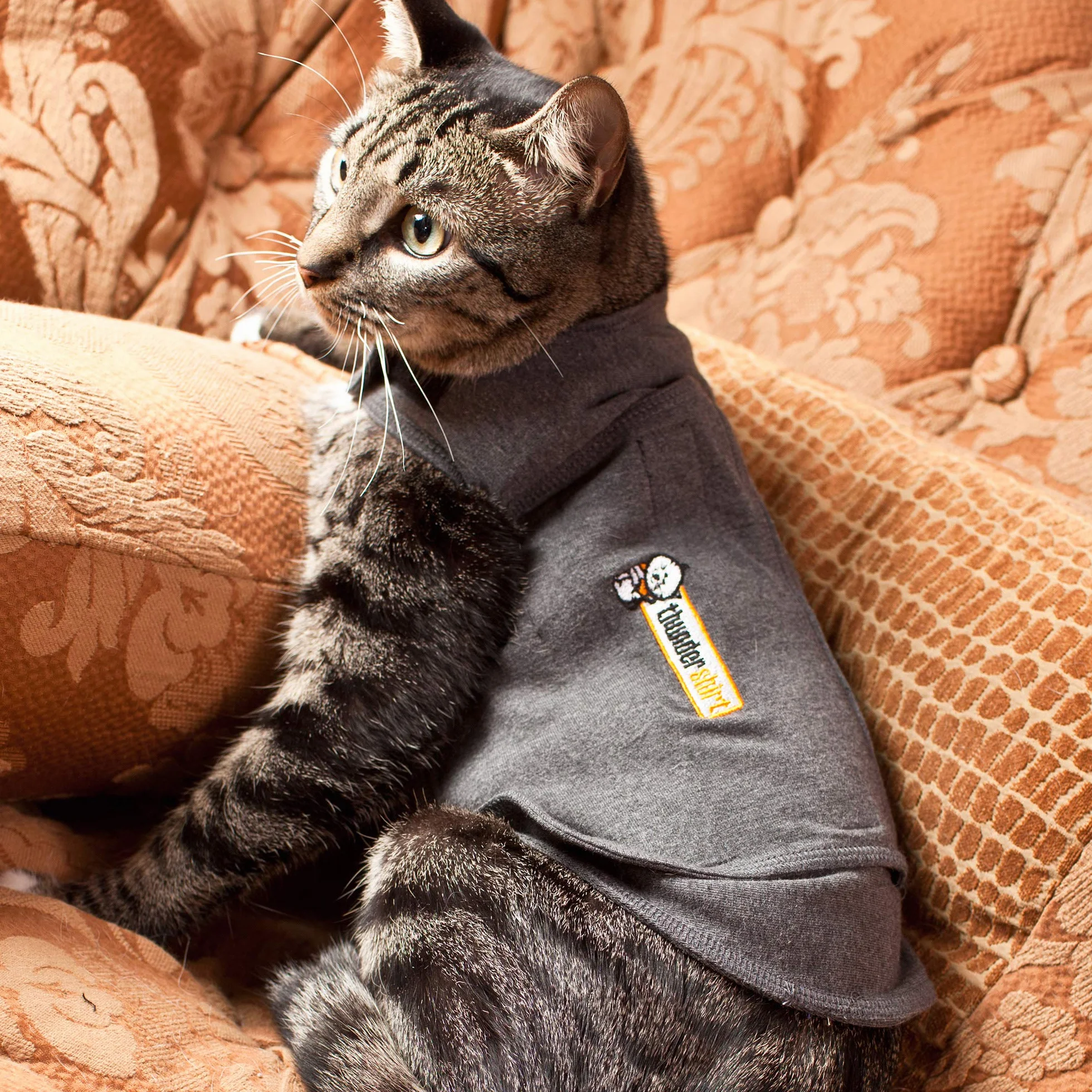 Thundershirt Per Gatti Grigio Grande 5,9 kg