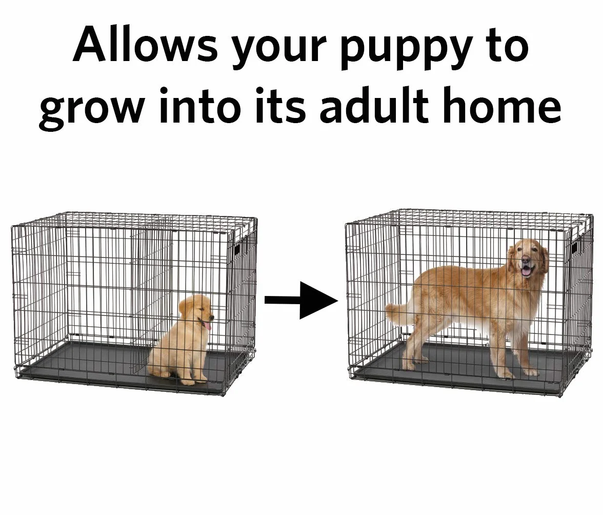 MidWest Homes for Pets - Pannello divisorio per gabbie per cani da 61 cm, regola lo spazio abitativo, compatibile con i modelli MidWest Cage 1524, 1524DD, 1924, nero E-Coated, 1524DPN