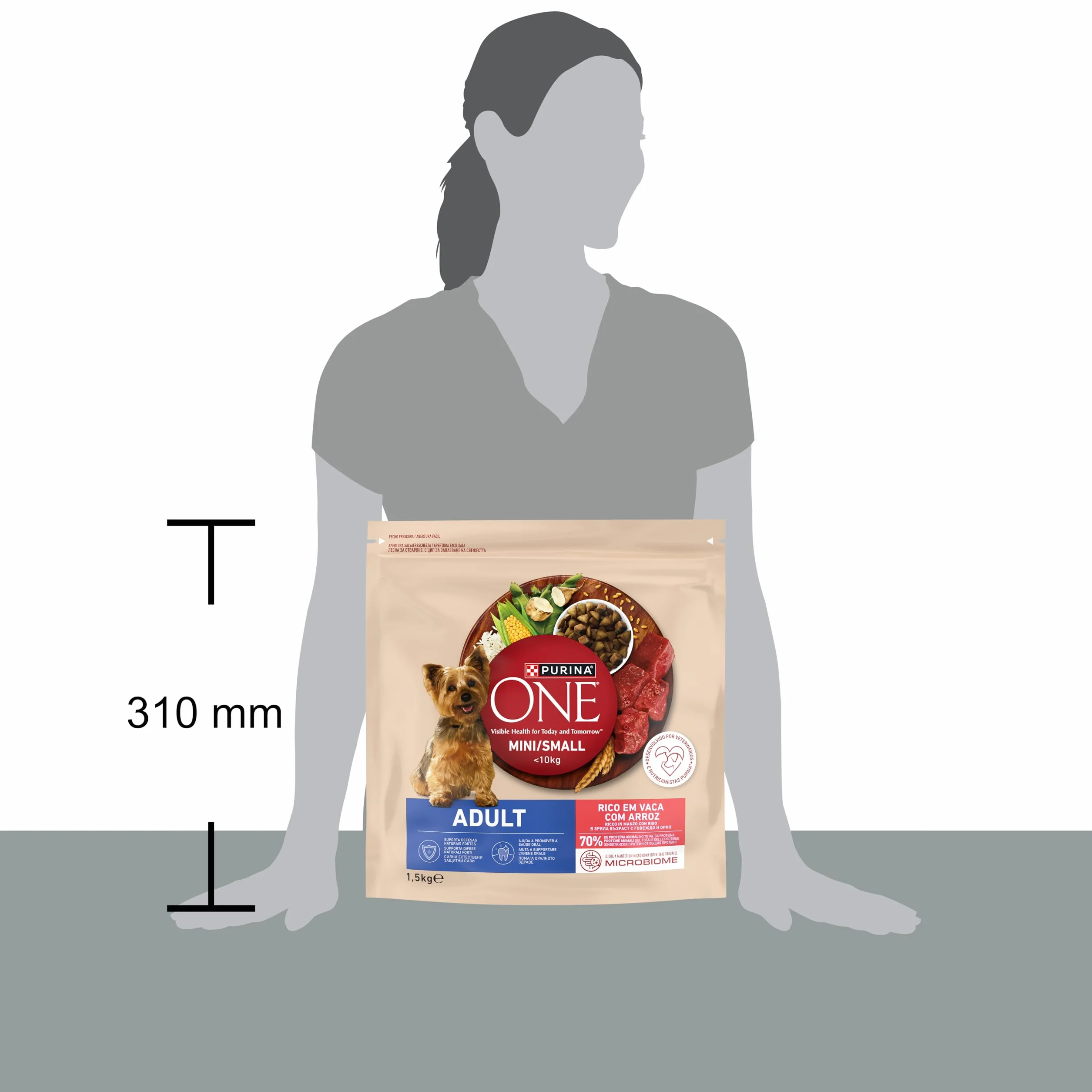PURINA ONE Small Mini < 10kg Cibo per cani adulti con manzo e riso 1,5kg