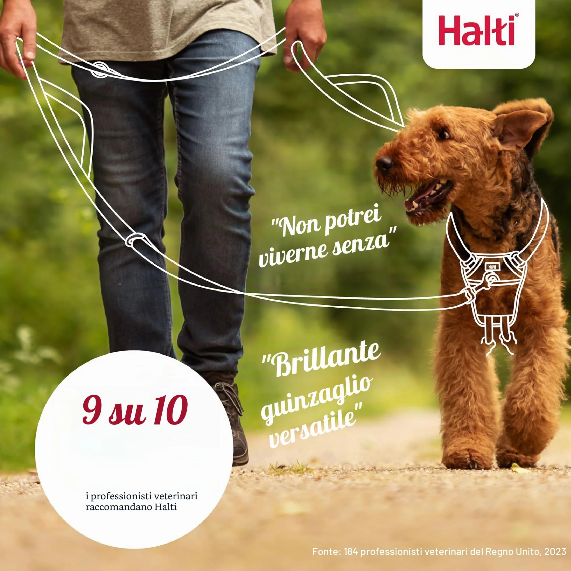 Guinzaglio da controllo HALTI - Guinzaglio multifunzionale a doppia clip e doppia impugnatura, ideale per l’addestramento anti-trazione. Comodo da tenere in mano. Ideale per cuccioli e non (2 metri)
