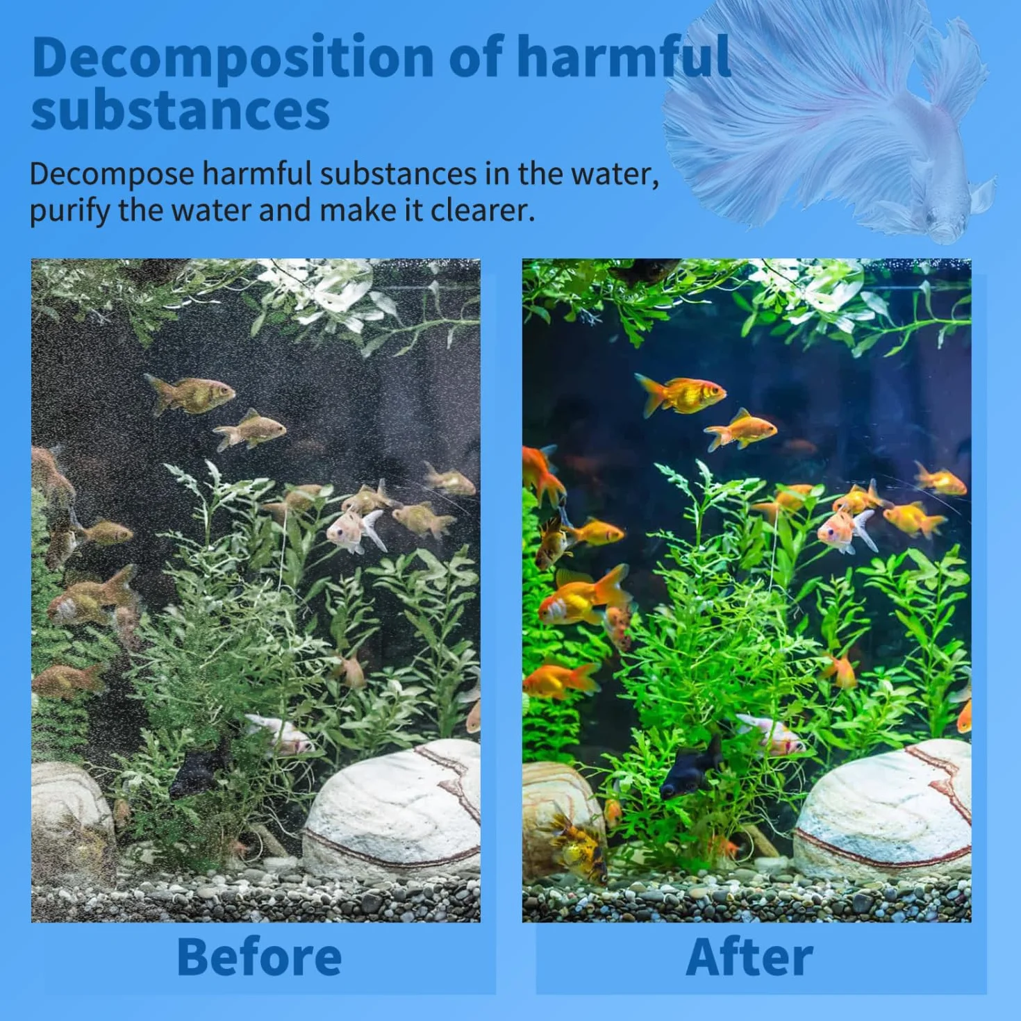 Nobleza - 12 in 1 Materiale Filtrante Acquario, Anelli in Ceramica, Filtro Poroso, Filtro Biologico per Acquari e Vasche per Pesci (500g)