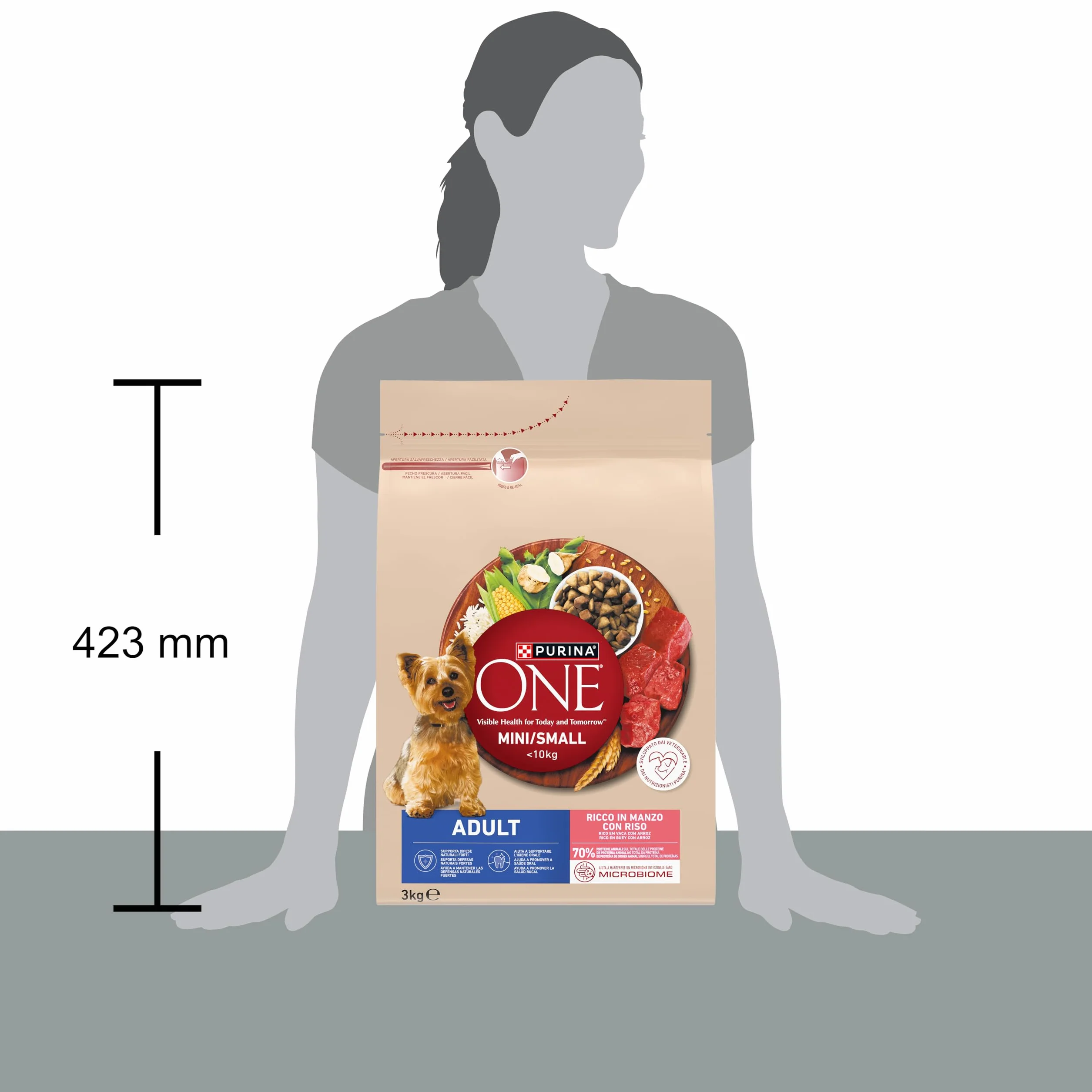 Purina ONE MINI Crocchette Cani Adult con Manzo e Riso, 3 kg