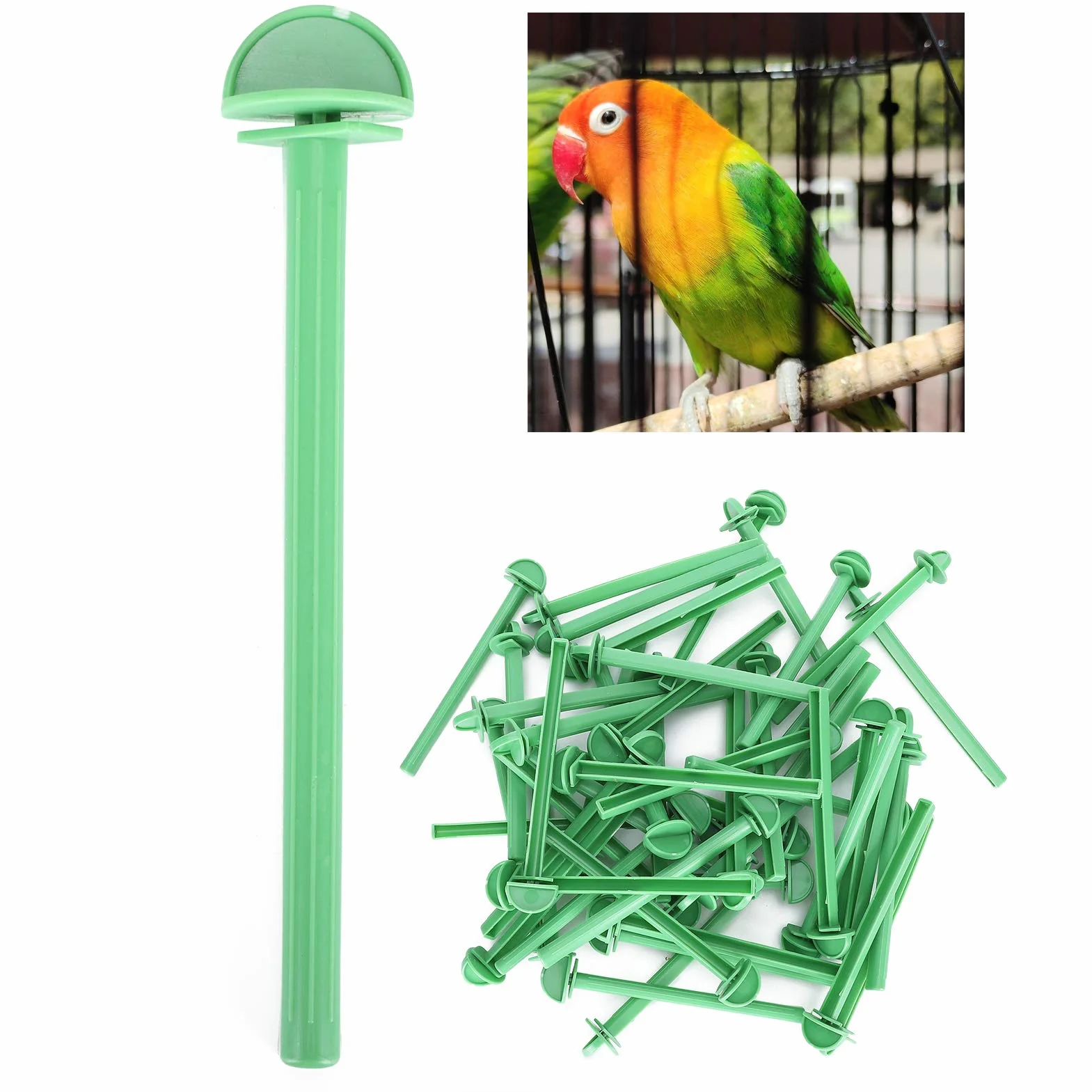 Bastone da Appoggio per Gabbie Uccelli 50 Pezzi Posatoi Pappagalli Plastica Antiscivolo