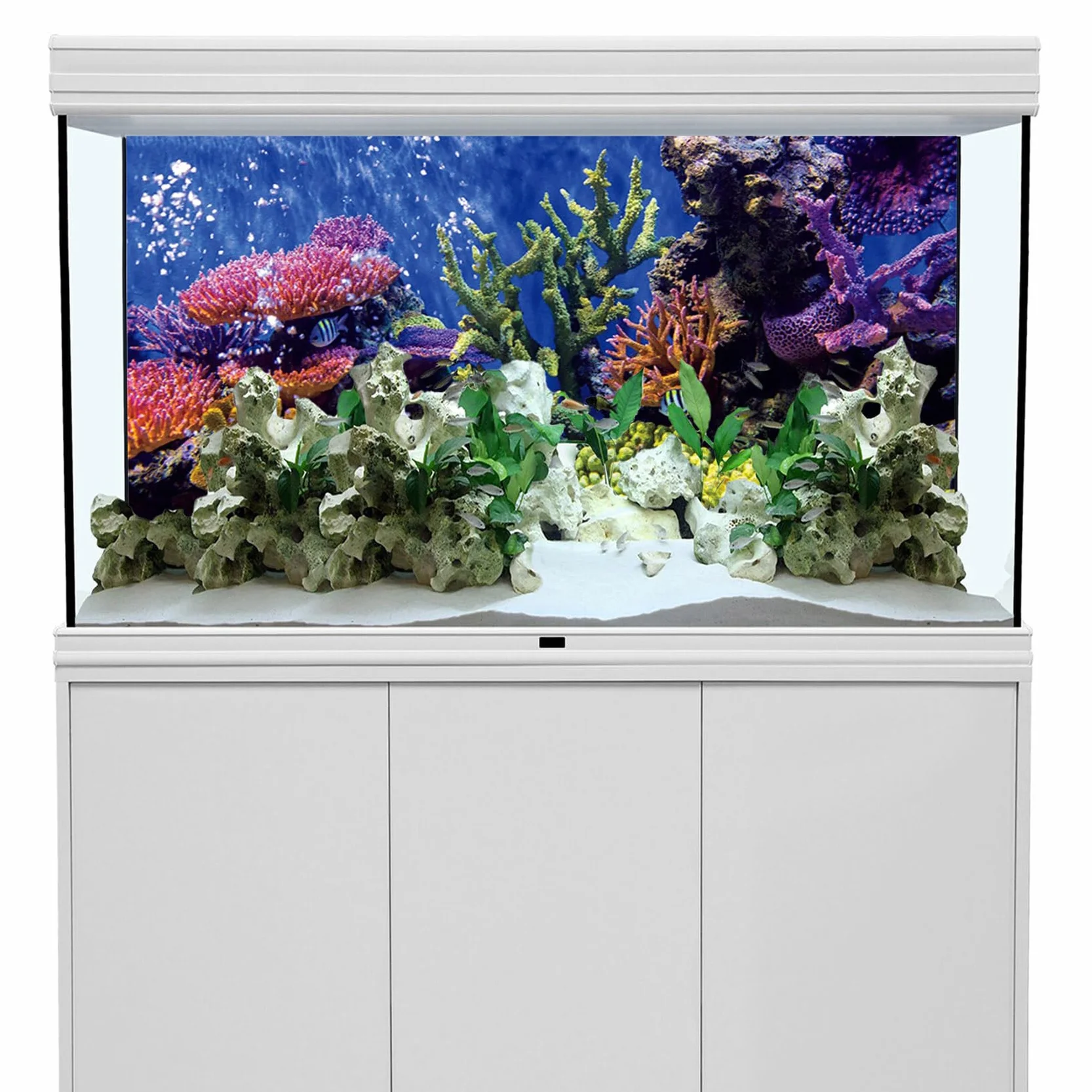 61x41cm Durevole Vinile Acquario Decorazione Sfondo Corallo Pesce Tropicale Subacqueo Acquario Poster Sfondo